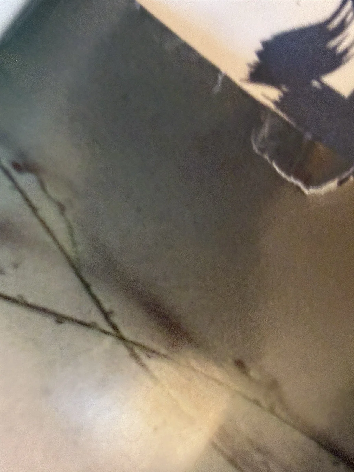 The Adam’s Family Japanese Film Poster Rolled But Has Damage See Photos, изображение 5