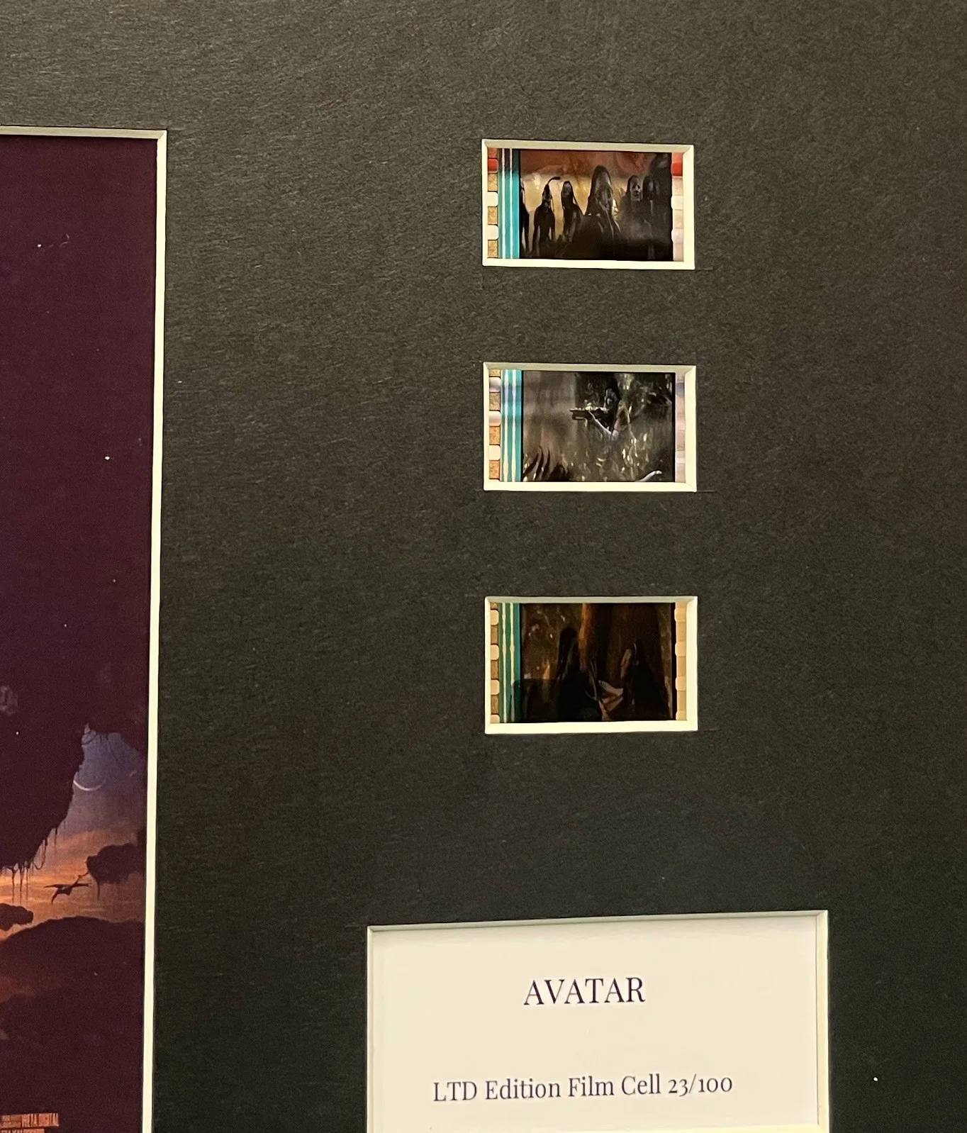 AVATAR. 35mm Film Cell MOUNTED DISPLAY, image 2