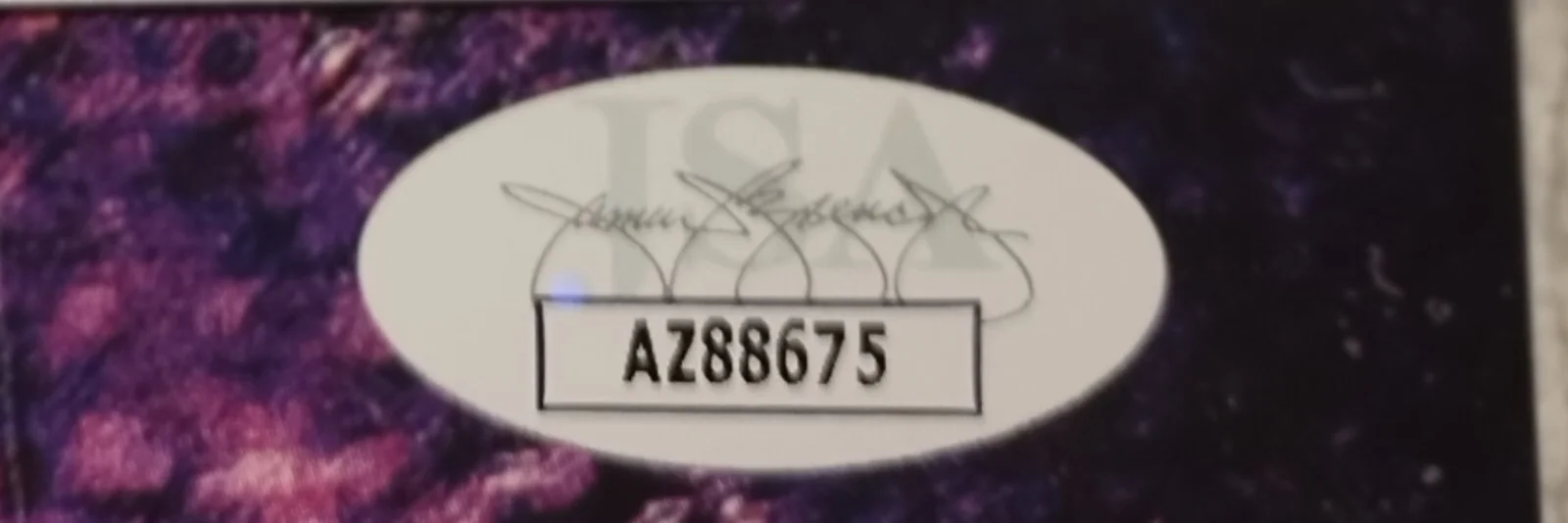 NITA STRAUSS SIGNED THE CALL OF THE VOID VINYL LP ALICE COOPER GUITARIST JSA, изображение 3