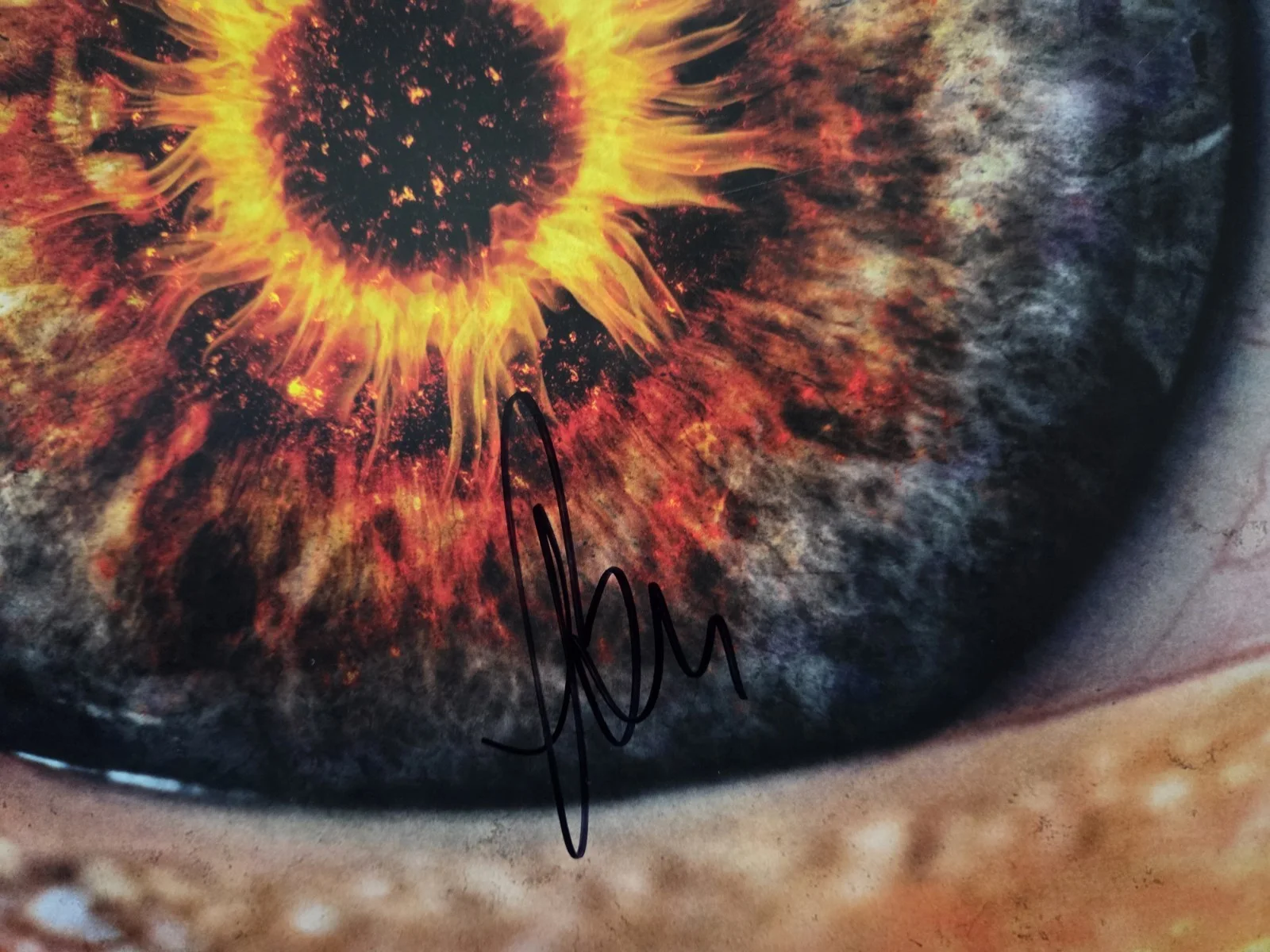Benjamin Burnley Breaking Benjamin Ember Autographed Vinyl Album JSA, image 2