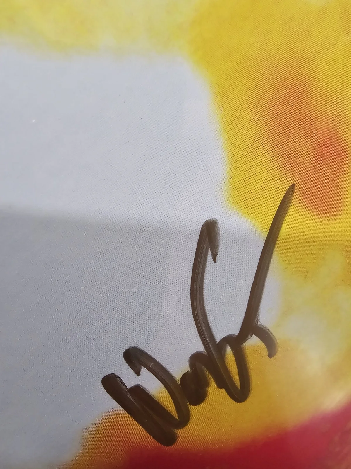 MILITARIE GUN LIFE UNDER THE SUN VINYL SIGNED RED & YELLOW SPLATTER LP, image 5