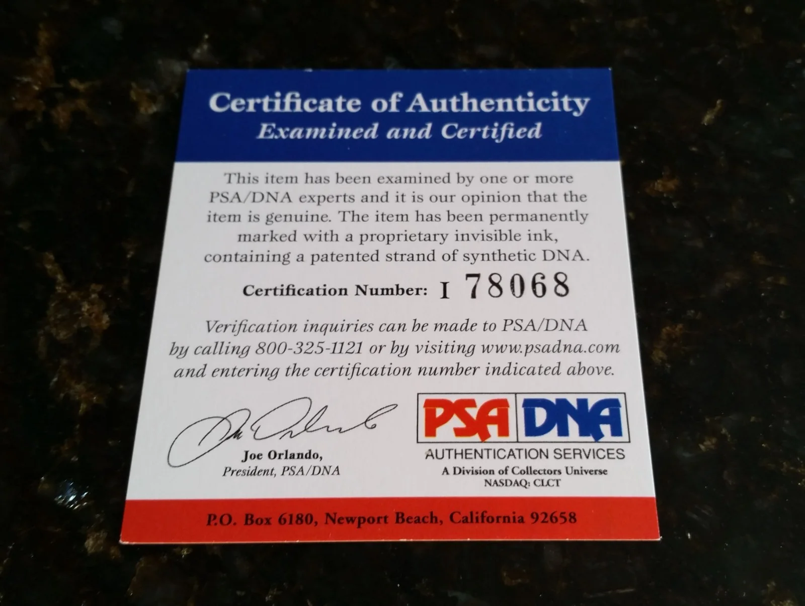 Pamela Anderson autographed photo, PSA/DNA certified, image 3