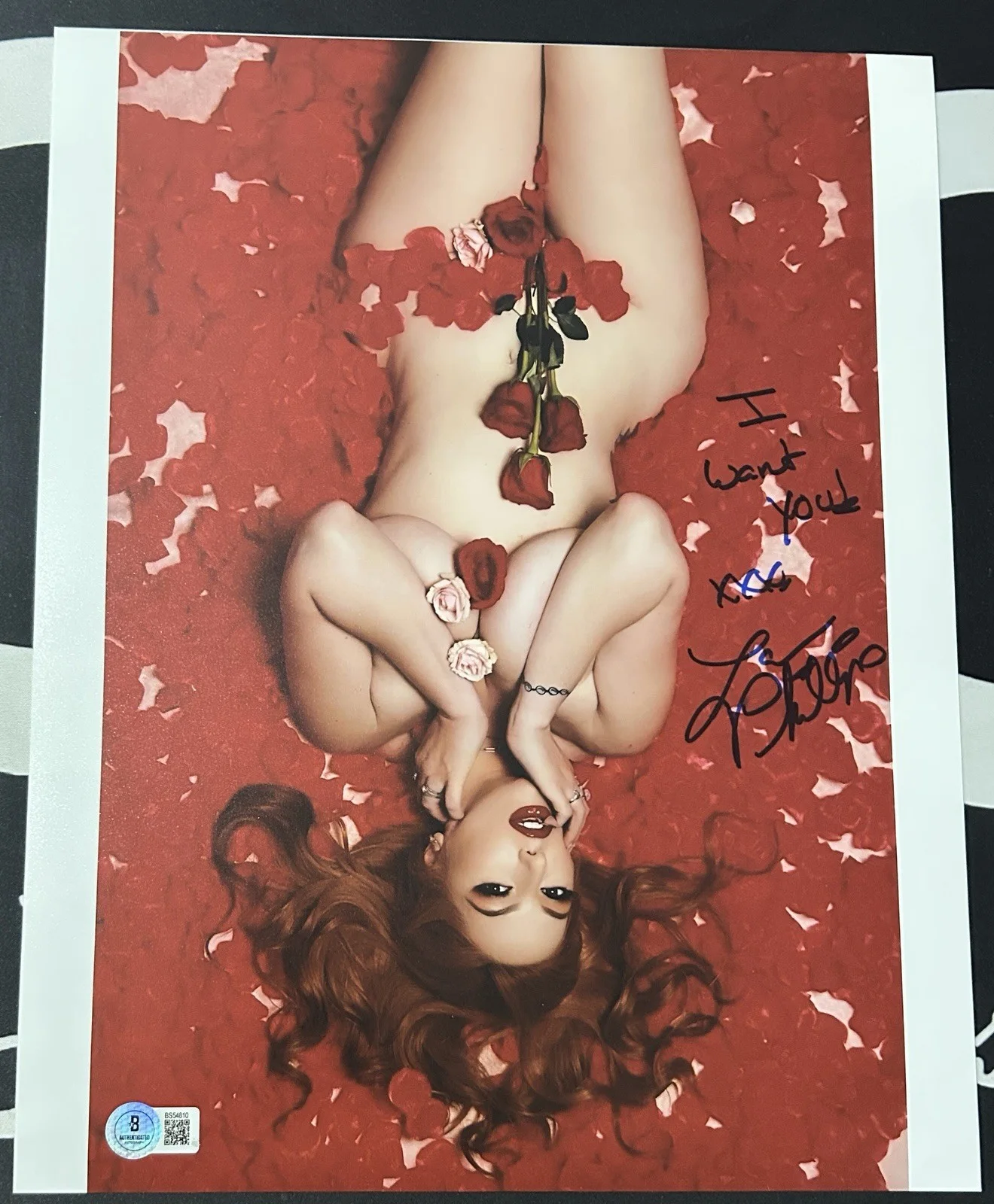 Lauren Phillips — Lauren Phillips Signed 11x14 Photo. Adult Star. Beckett COA. Playboy Model. B01