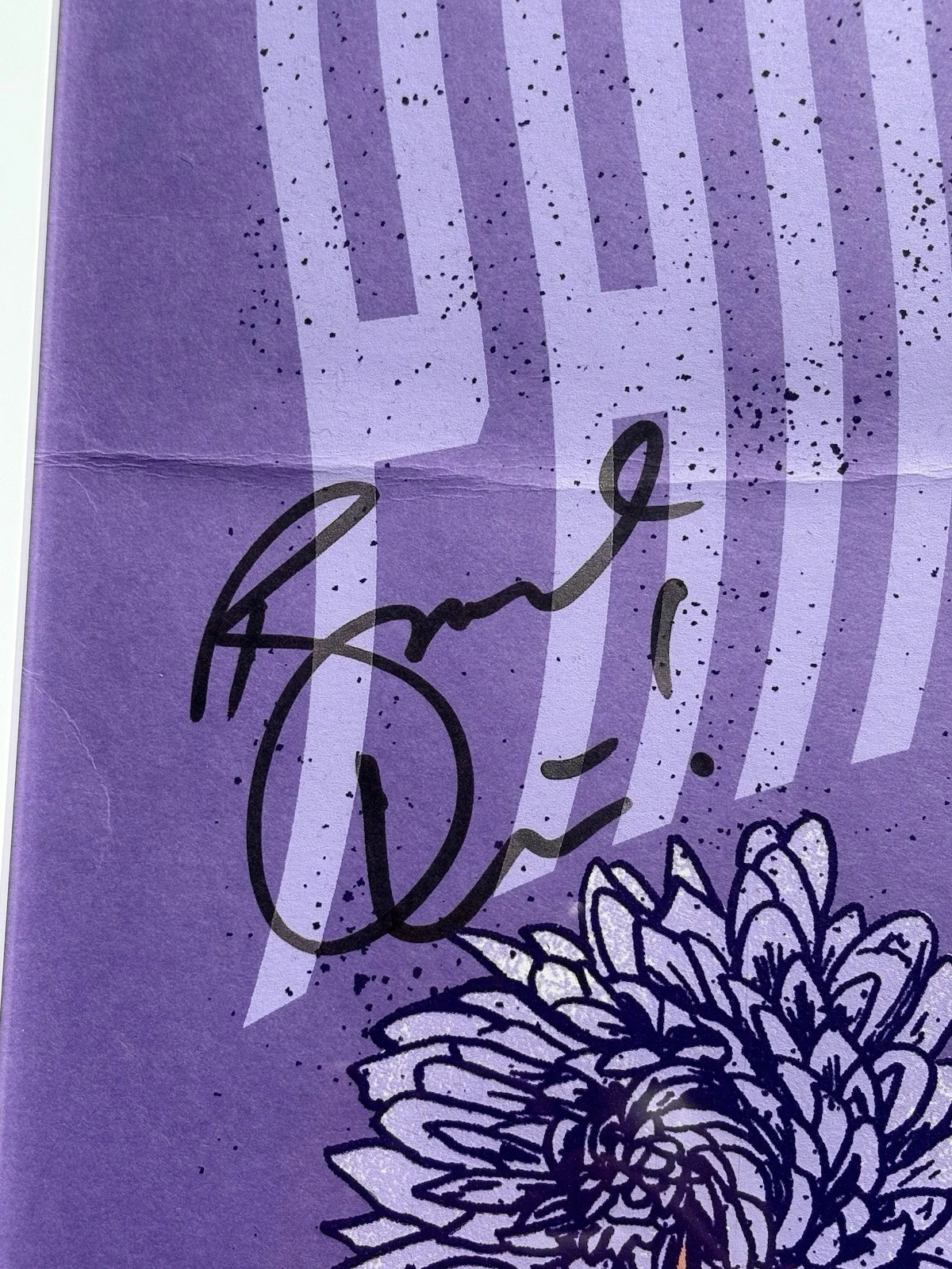 PANIC! AT THE DISCO SIGNED + FRAMED Poster JSA COA Pray For The Wicked Brendon, image 2