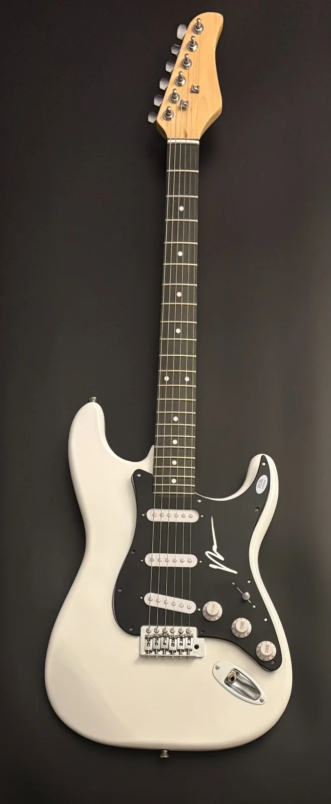 PSA Fall Out Boy FOB Singer * PATRICK STUMP * Signed Electric Guitar PROOF COA, image 2