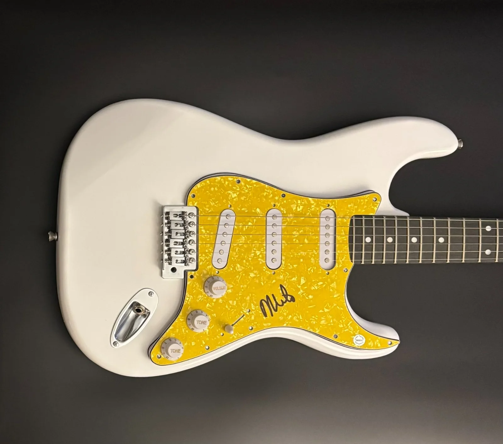 GFA The Descendents Band * MILO AUKERMAN * Signed Electric Guitar PROOF COA, изображение 2