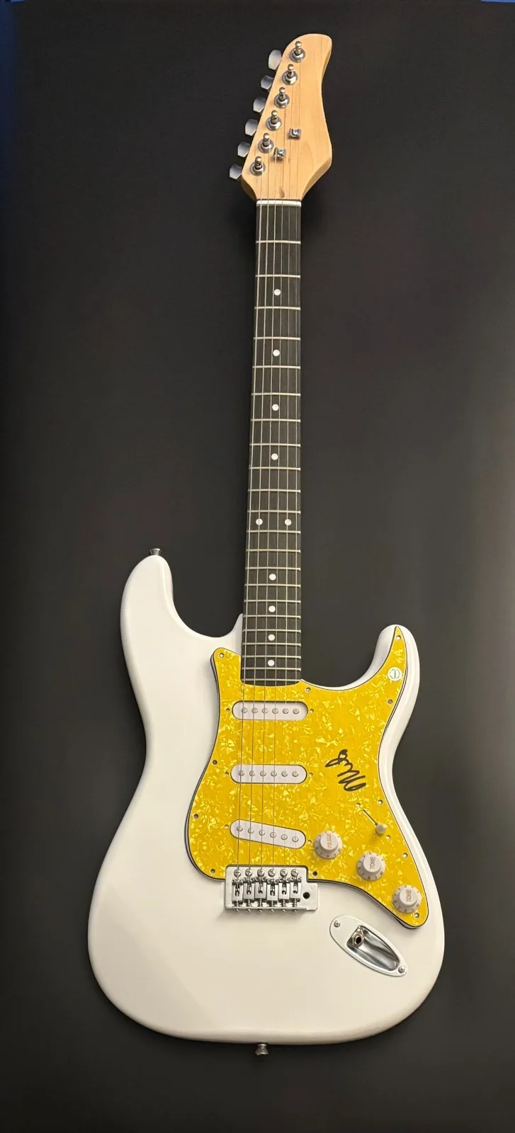 GFA The Descendents Band * MILO AUKERMAN * Signed Electric Guitar PROOF COA, изображение 4