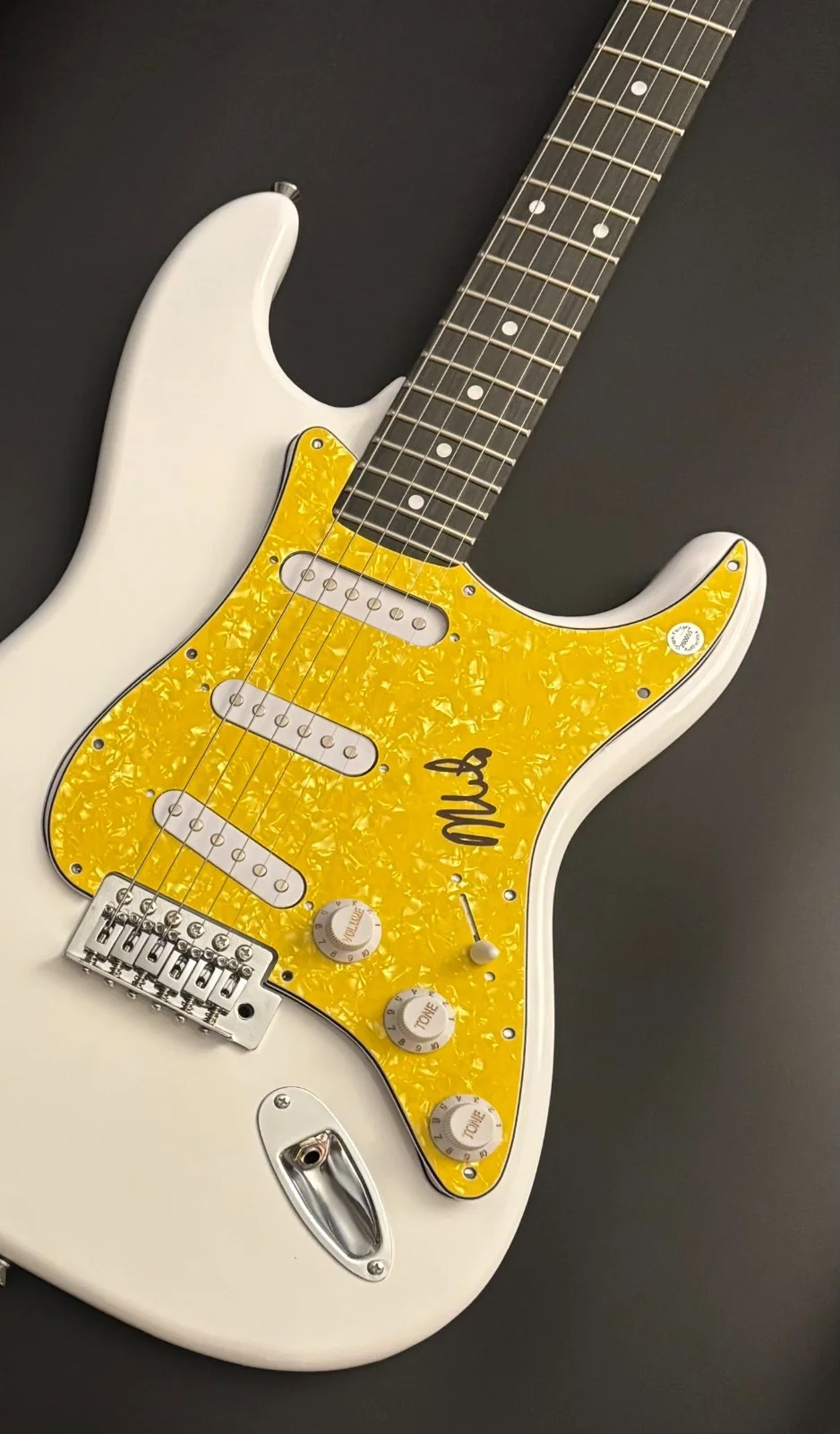 GFA The Descendents Band * MILO AUKERMAN * Signed Electric Guitar PROOF COA, изображение 5