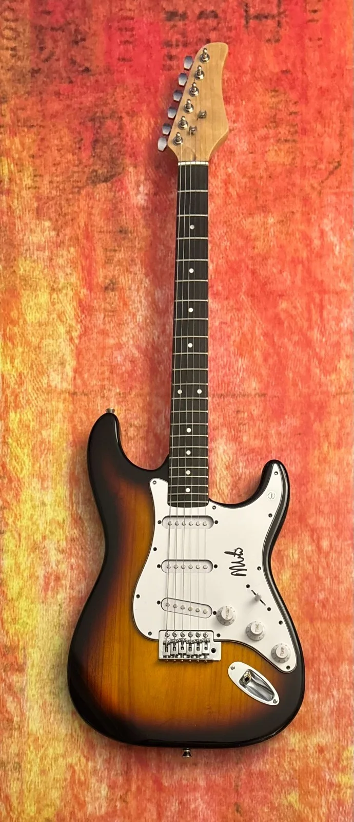 GFA The Descendents Band * MILO AUKERMAN * Signed Electric Guitar PROOF COA, изображение 4