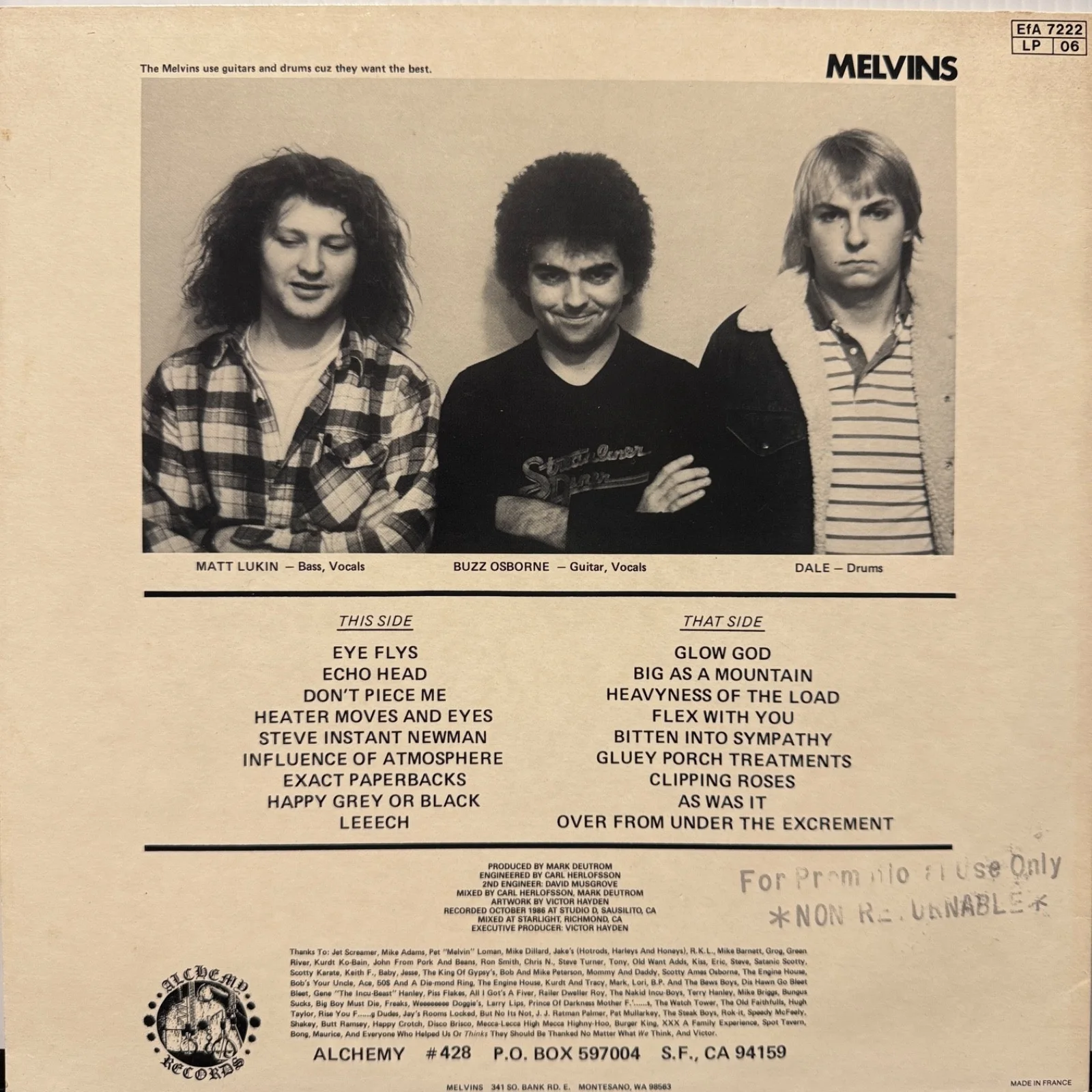 MELVINS "Gluey Porch Treatments" USA vinyl album AUTOGRAPHED BY DALE TO MIRO NM!, изображение 2