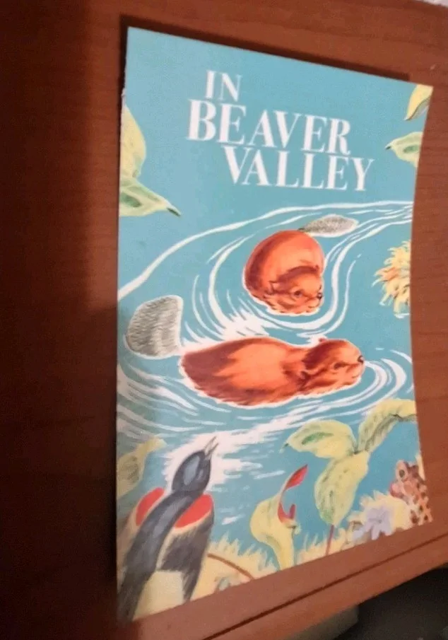 Vintage Style Postcard "Beaver Valley" 1950 – Reproduction Art – Print, image 2