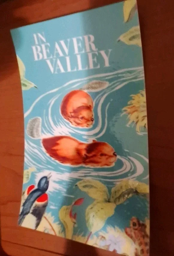 Vintage Style Postcard "Beaver Valley" 1950 – Reproduction Art – Print, image 3