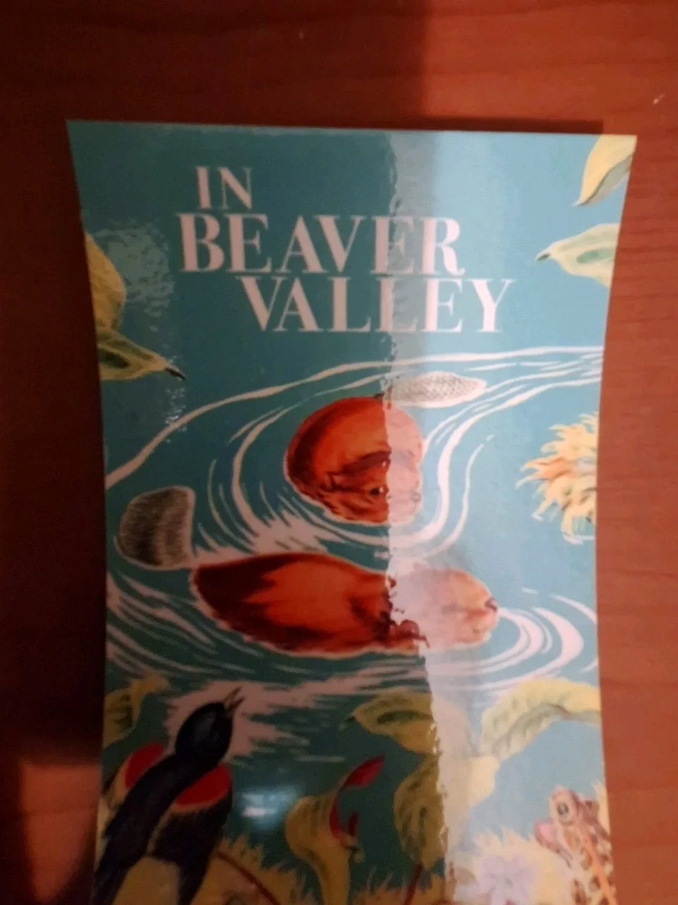 Vintage Style Postcard "Beaver Valley" 1950 – Reproduction Art – Print, image 5