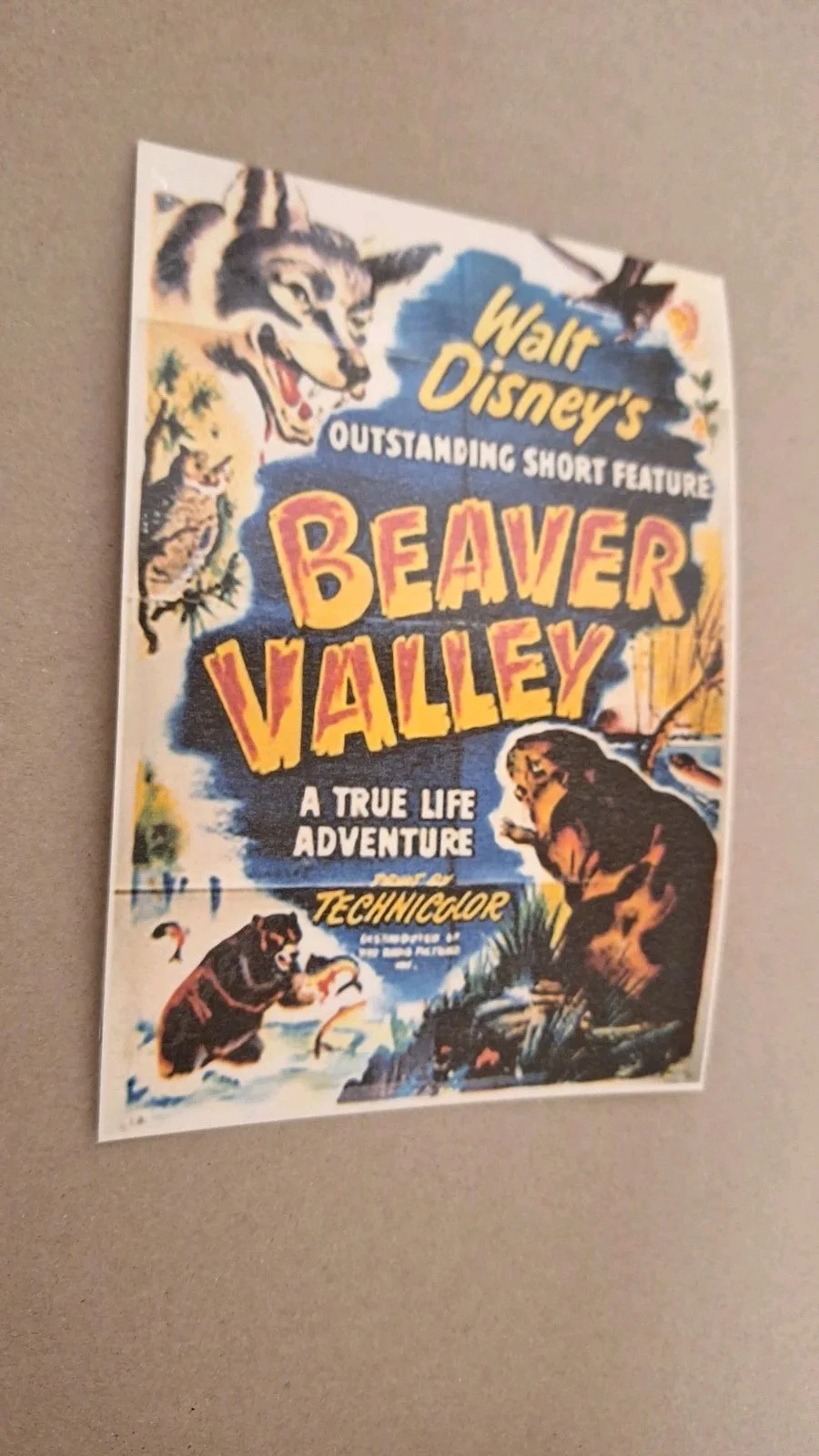 Vintage Style Postcard "Beaver Valley" 1950 – Reproduction Art – Print, image 2