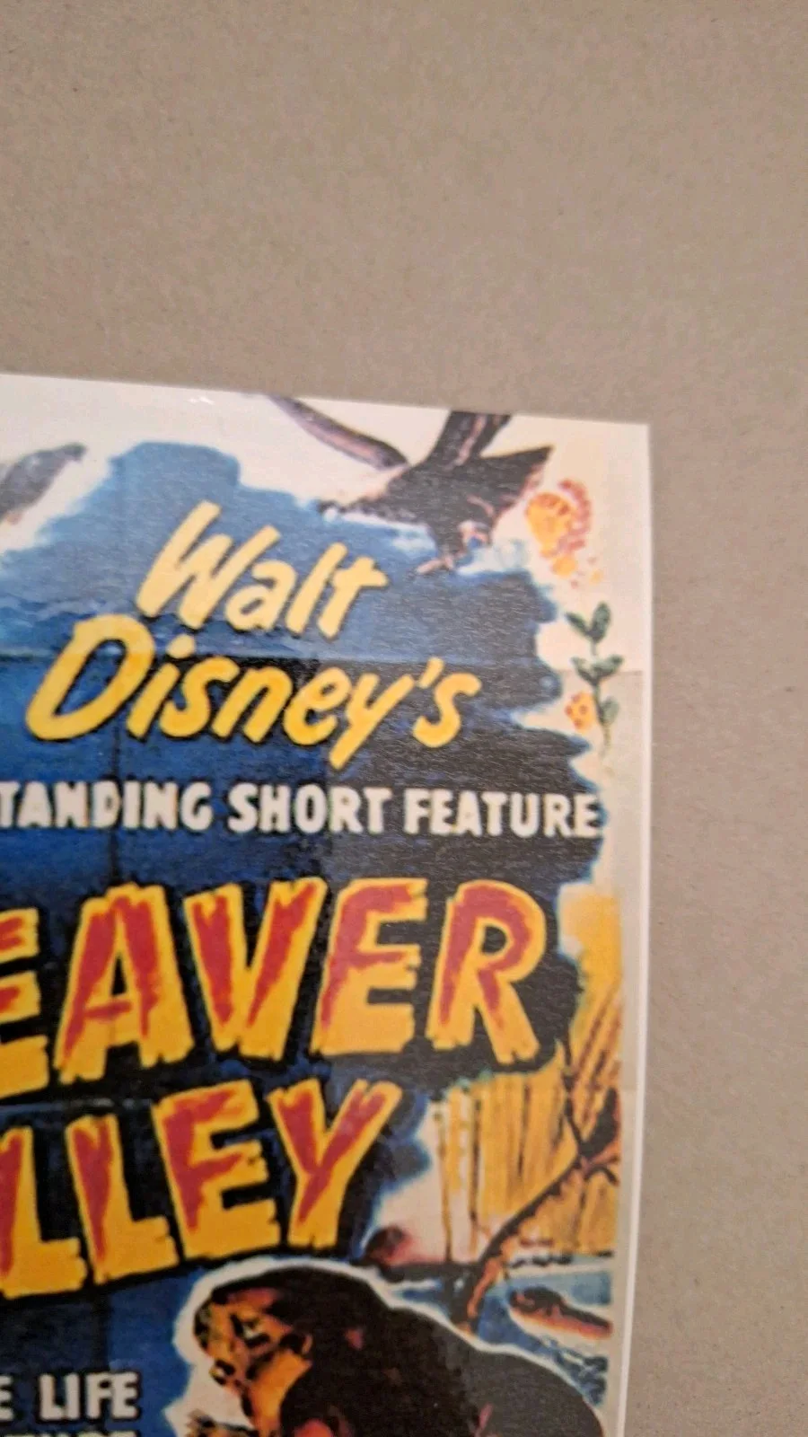 Vintage Style Postcard "Beaver Valley" 1950 – Reproduction Art – Print, image 3