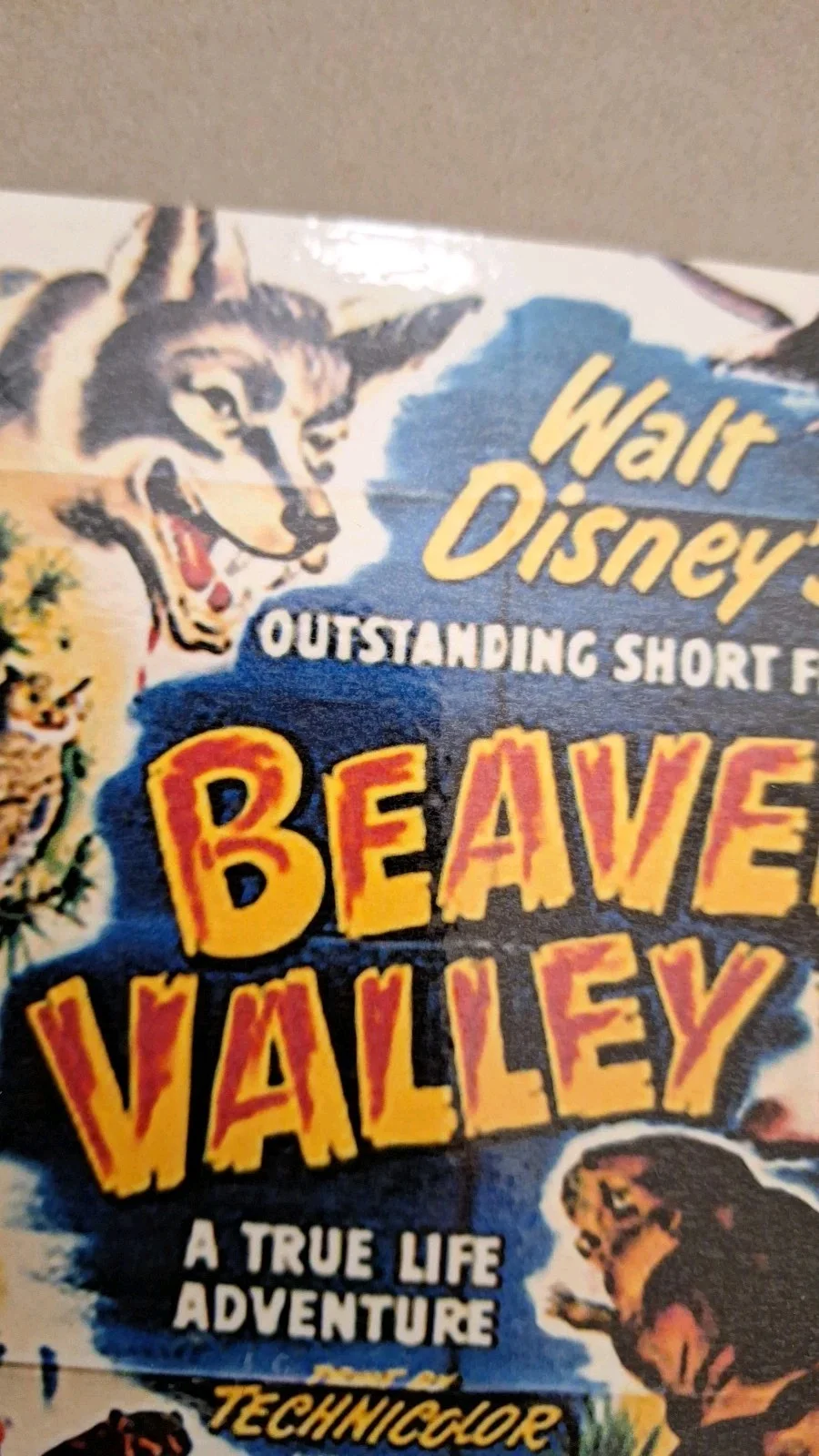 Vintage Style Postcard "Beaver Valley" 1950 – Reproduction Art – Print, image 5