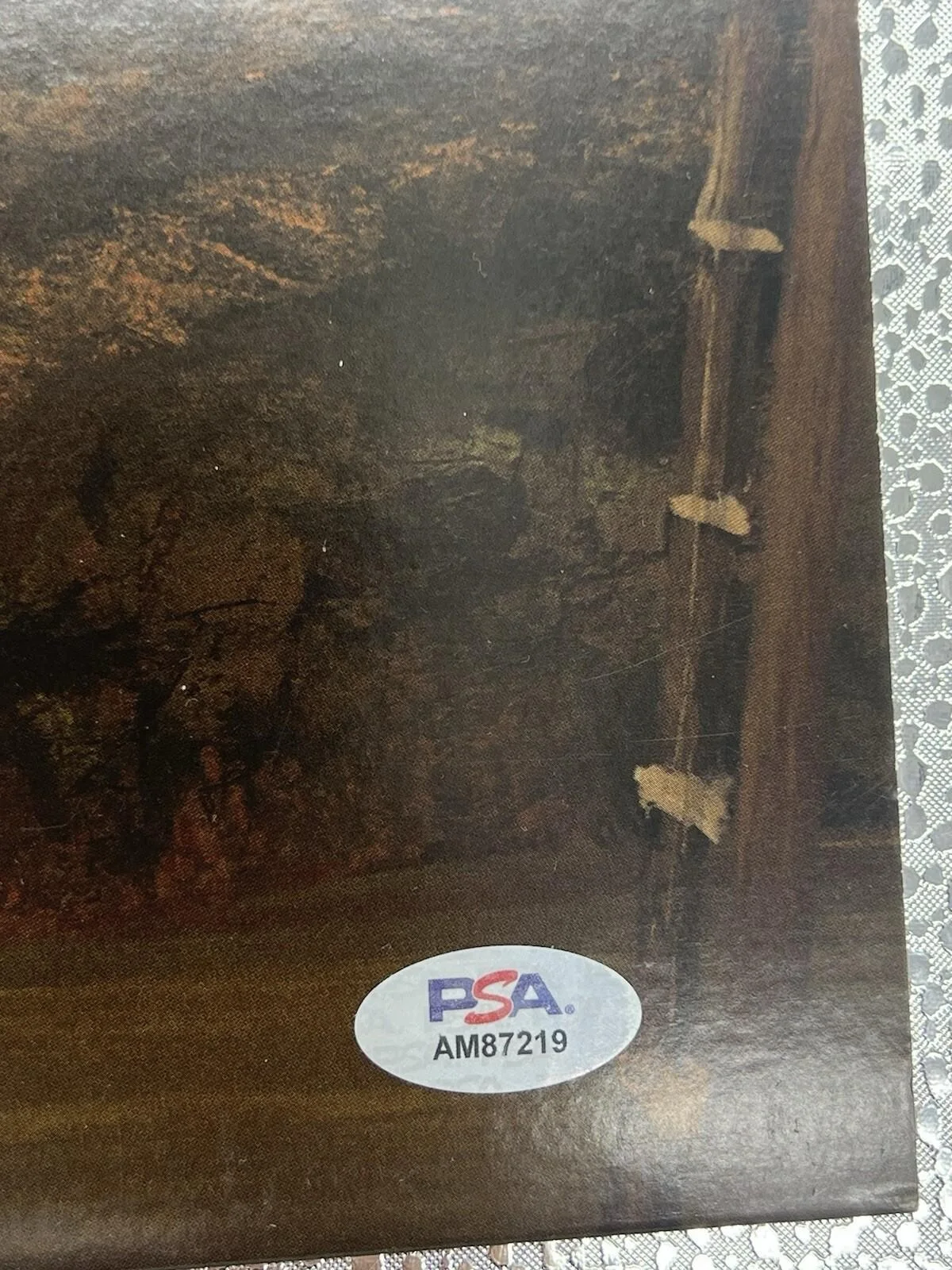 CORDAE SIGNED “FROM A BIRDS EYE VIEW” VINYL ALBUM AUTOGRAPH - PSA/DNA COA, image 3