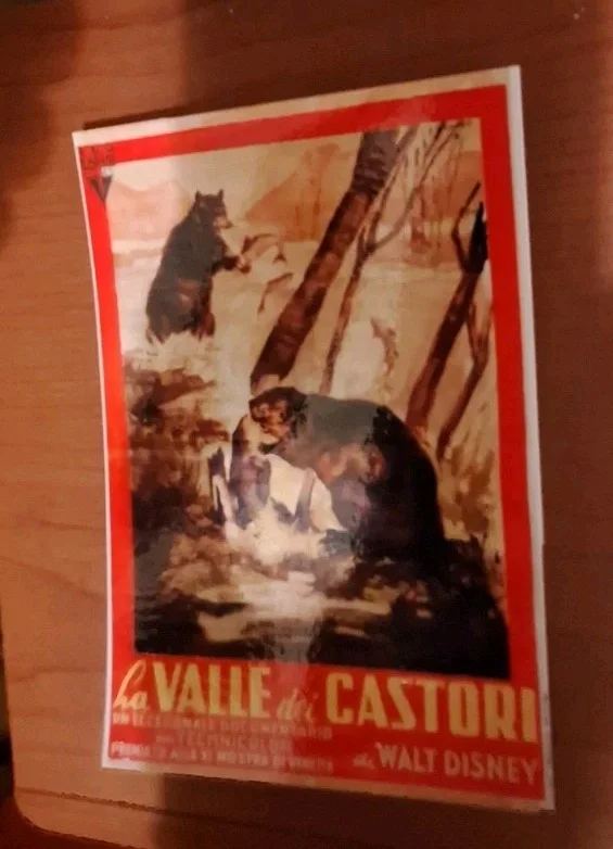Vintage Style Postcard "Beaver Valley" 1950 – Reproduction Art – Print, изображение 3
