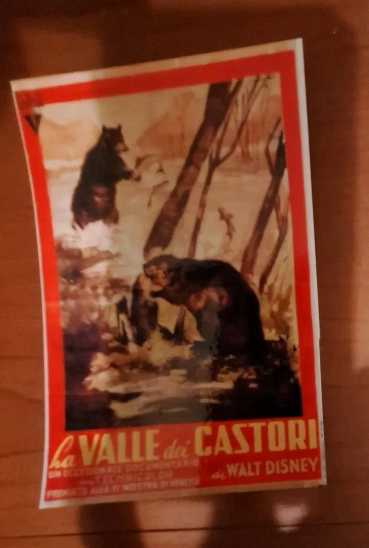 Vintage Style Postcard "Beaver Valley" 1950 – Reproduction Art – Print, изображение 4
