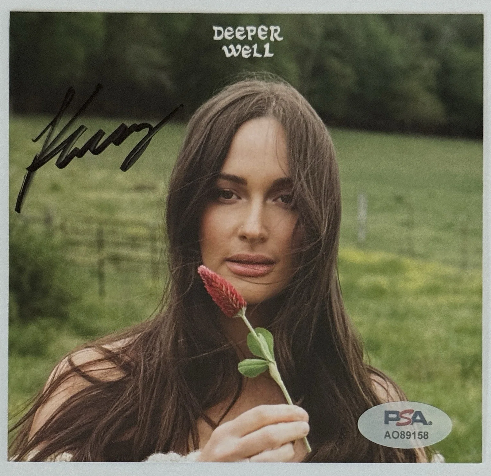 FRAMED Kacey Musgraves Deeper Well CD & SIGNED AUTOGRAPH COVER PHOTO PSA DNA COA, изображение 2