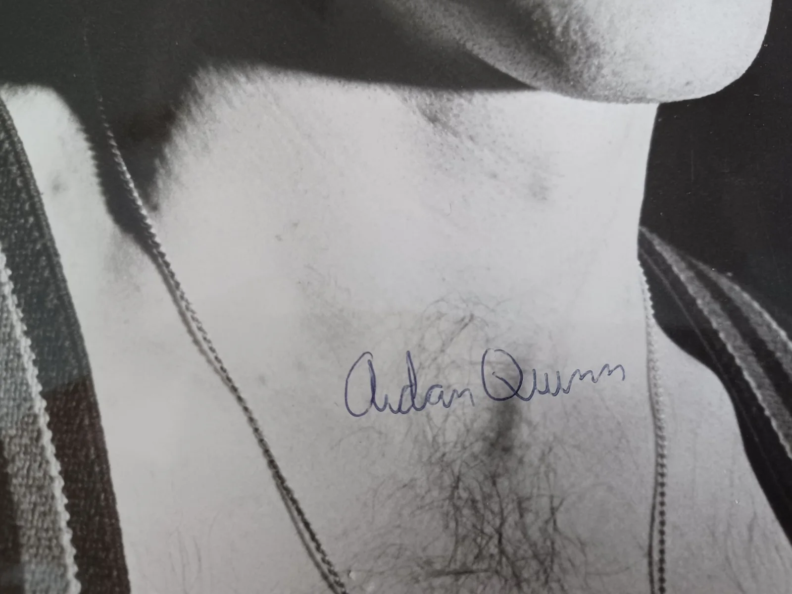 Aidan Quinn Signed 8x10 Photo - Desperately Seeking Susan, Elementary, image 2