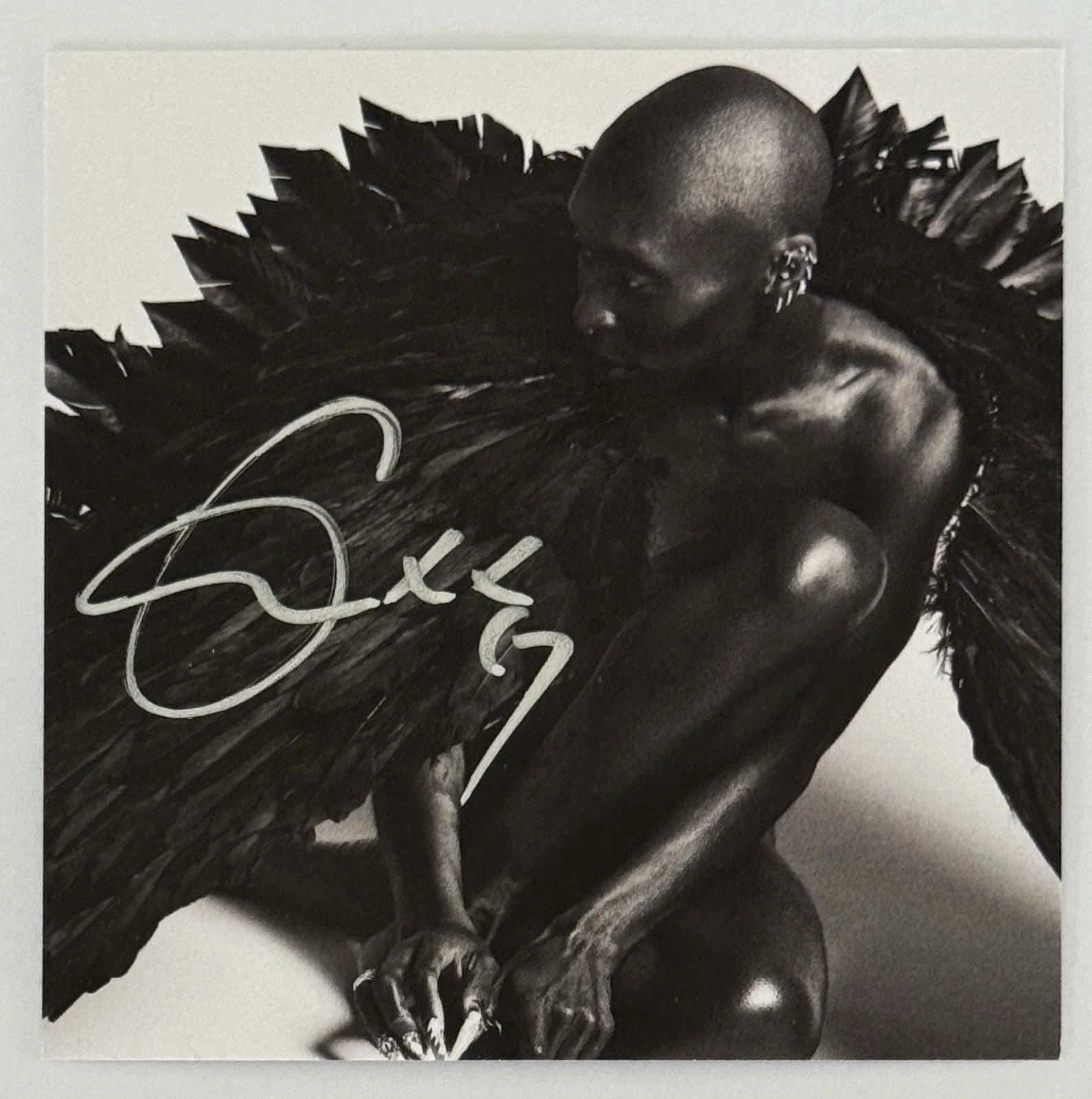Cynthia Erivo Signed Photo Album Art Card & I Forgive You CD PSA DNA COA Wicked, изображение 4