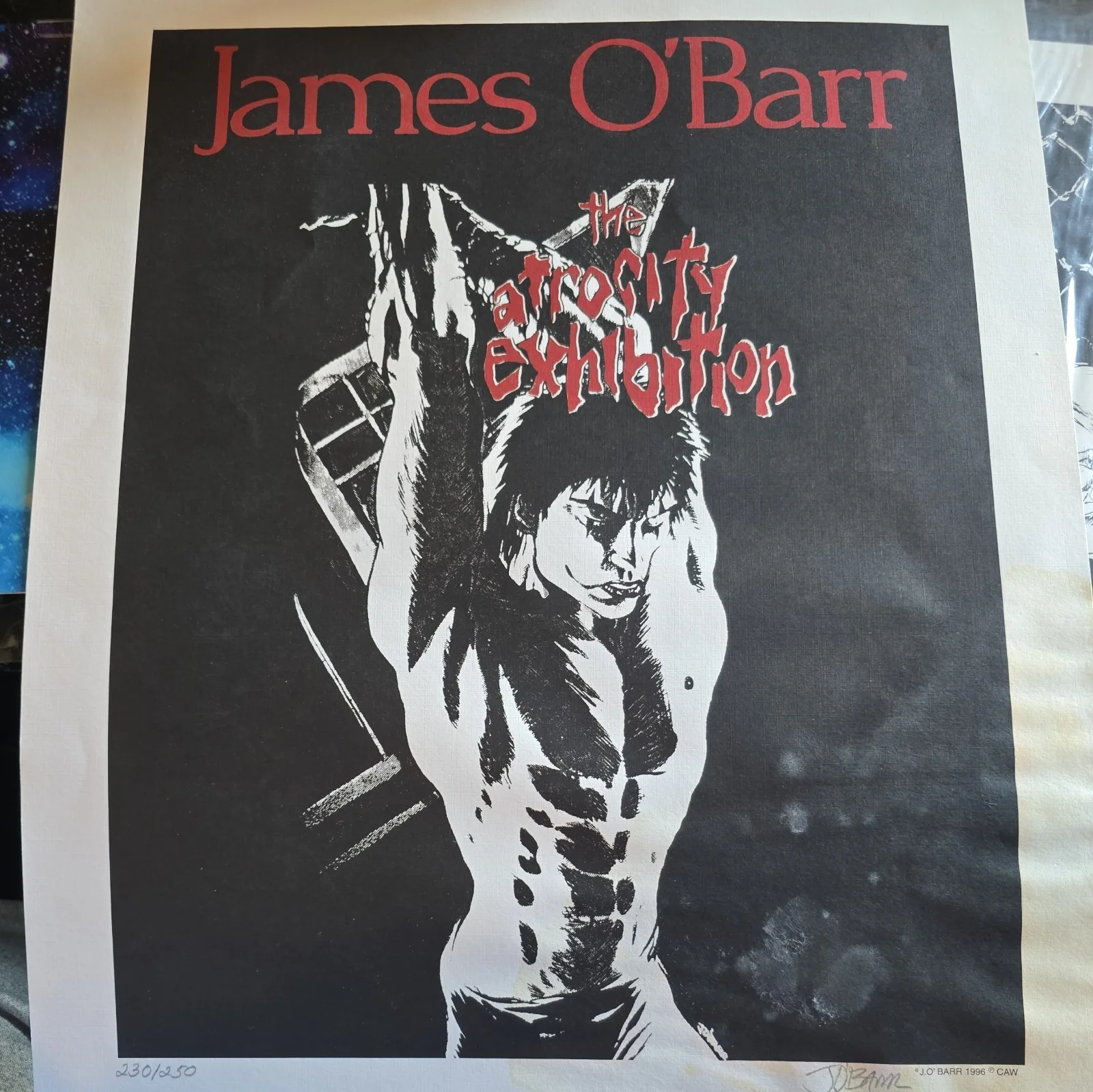 James O'barr — James O'Barr 230/250 Signed The Crow The Etrocity Exhibition WATER DAMAGE