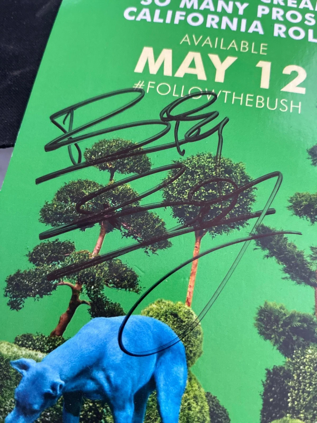 Snoop Dogg Signed Promo — BUSH Album Door Hanger — Authentic Autograph, изображение 2