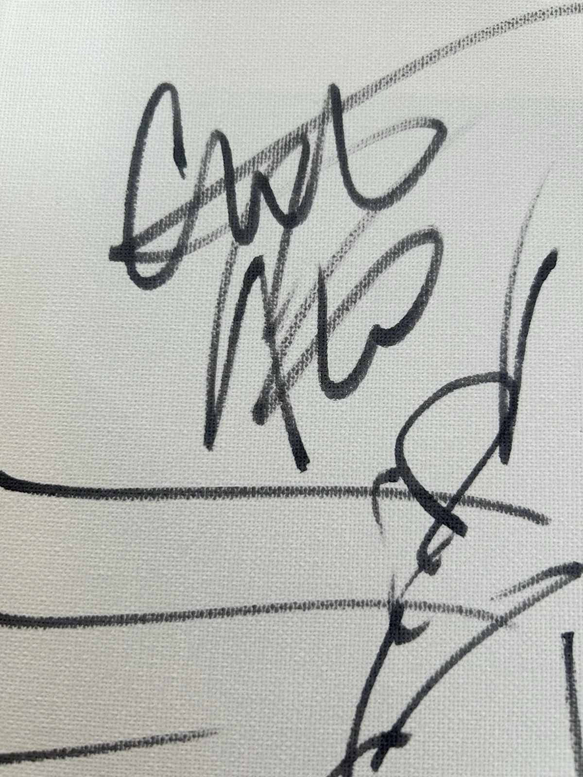 Post Malone Signed 9x12 Canvas with Hand Drawn Sketch (JSA Authentication) AUTO, image 3