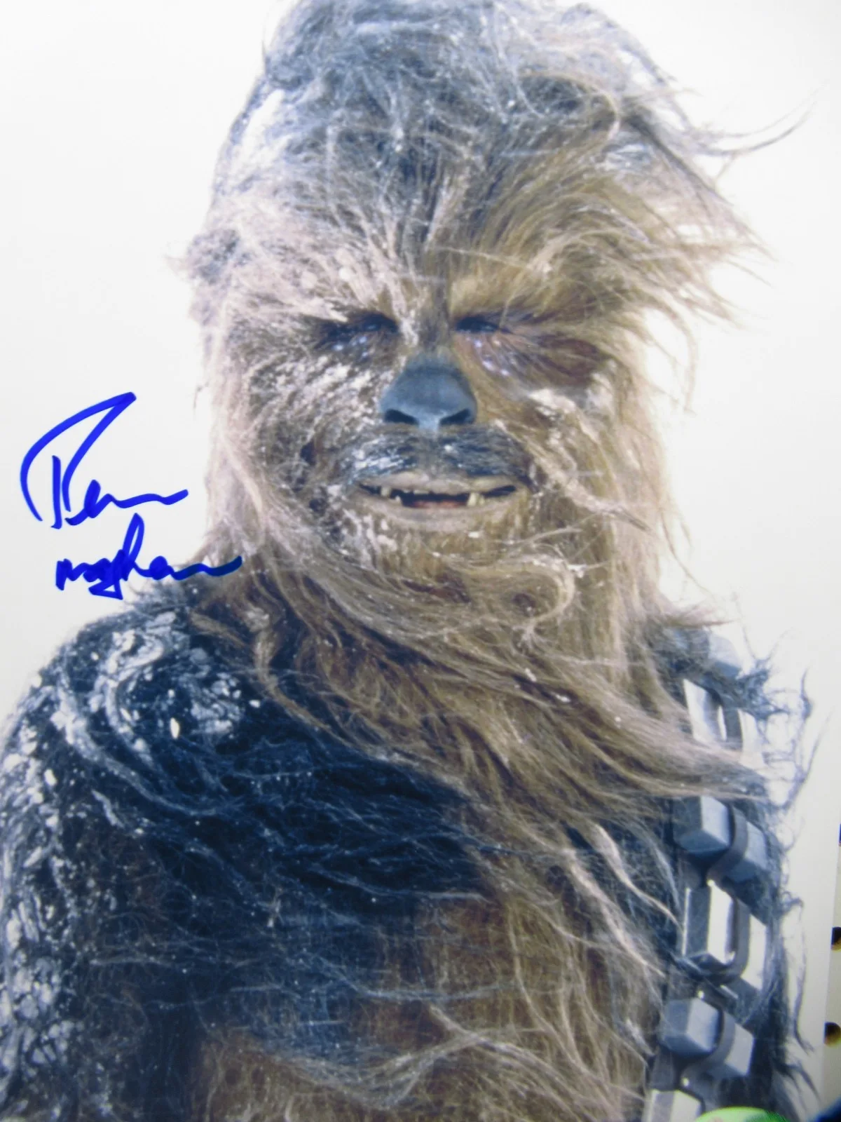 PETER MAYHEW — STAR WARS CHEWBACCA PETER MAYHEW SIGNED 8 X 11 PHOTO W/HERO'S AND LEGENDS COA, image 2