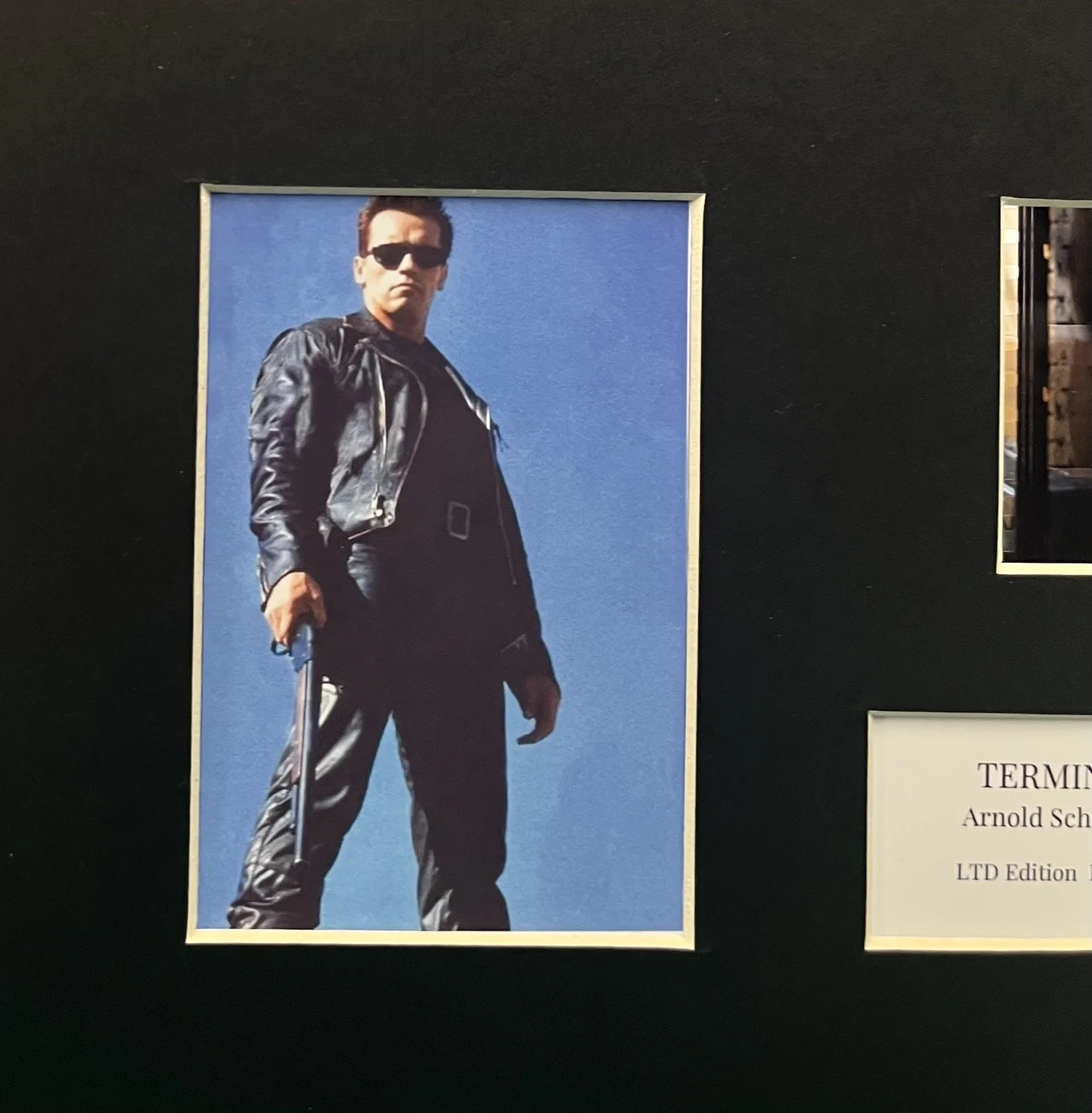 ARNOLD SCHWARZENEGGER . TERMINATOR. 2 35mm Film Cell Mounted Display, image 3