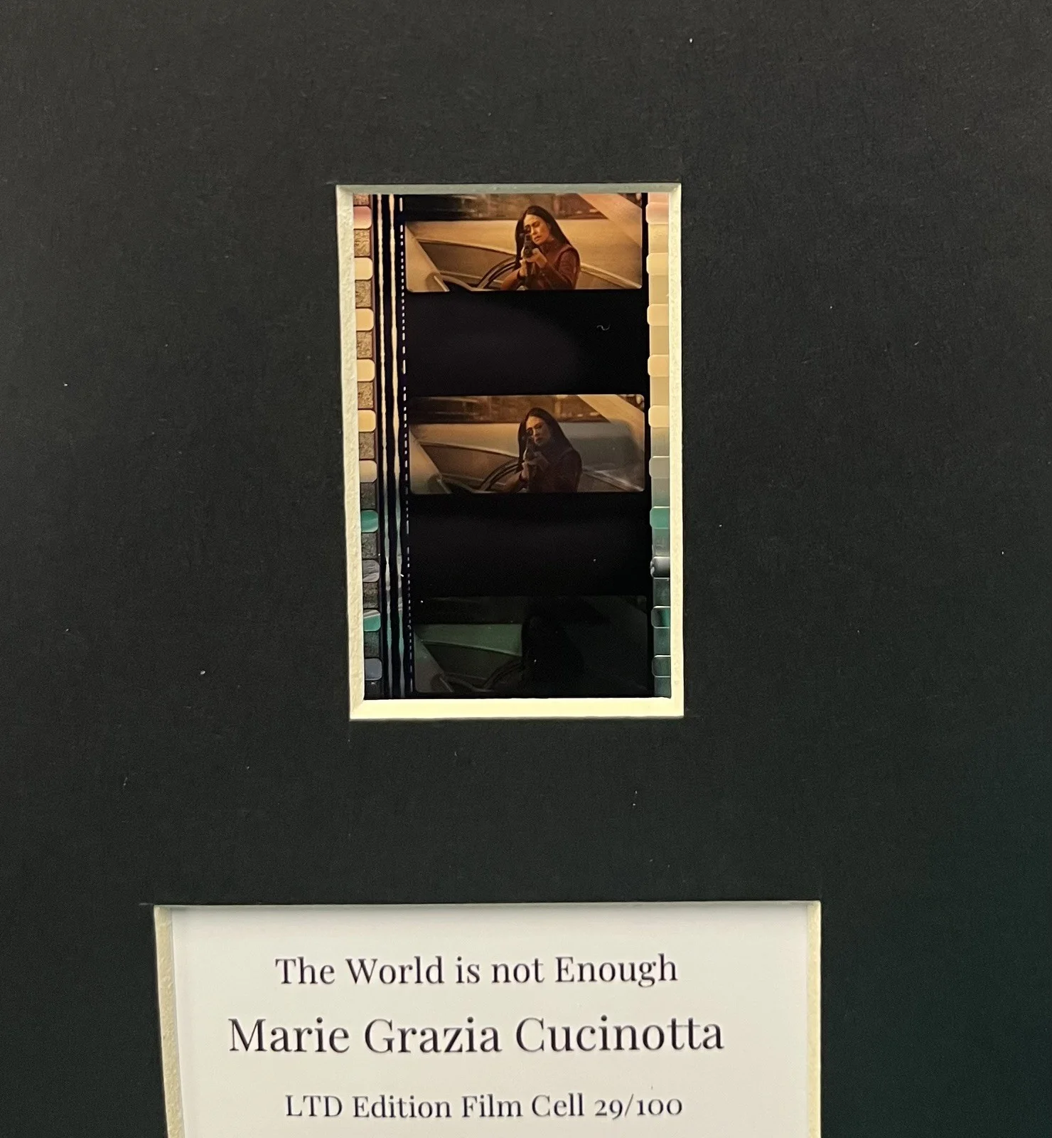 MARIA G. CUCINOTTA . The World is not Enough 35mm Film Cell Mounted Display, изображение 3