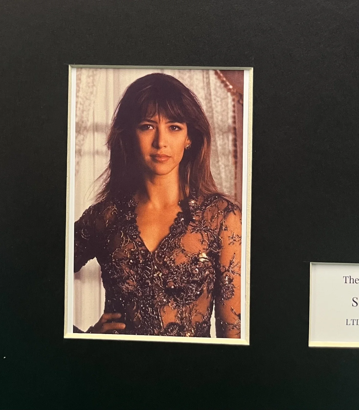 SOPHIE MARCEAU . The World is not Enough 35mm Film Cell Mounted Display, изображение 2