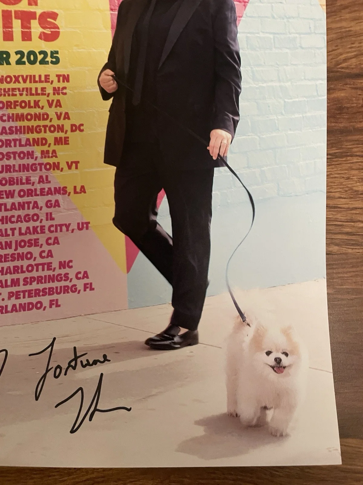 FORTUNE FEIMSTER 2025 Autographed Tour Poster Takin’ Care Of Biscuits ZOOTOPIA 2, изображение 5
