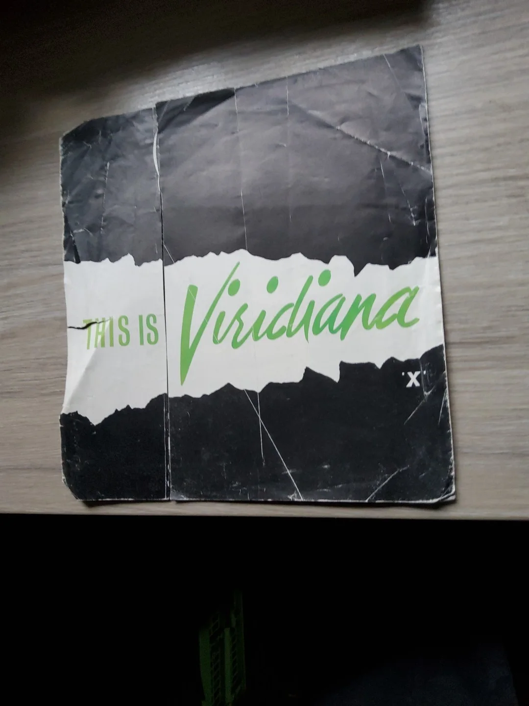 CINEMA SYNOPSIS 1961,VIRIDIANA, image 3
