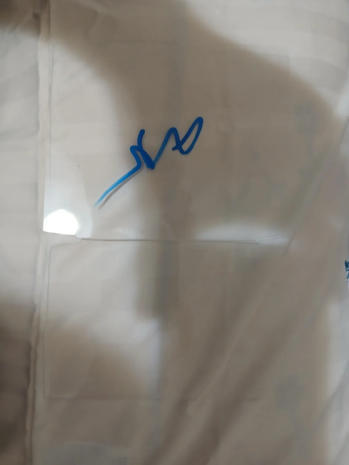 James Marsden Signed Funko Window Only, image 2