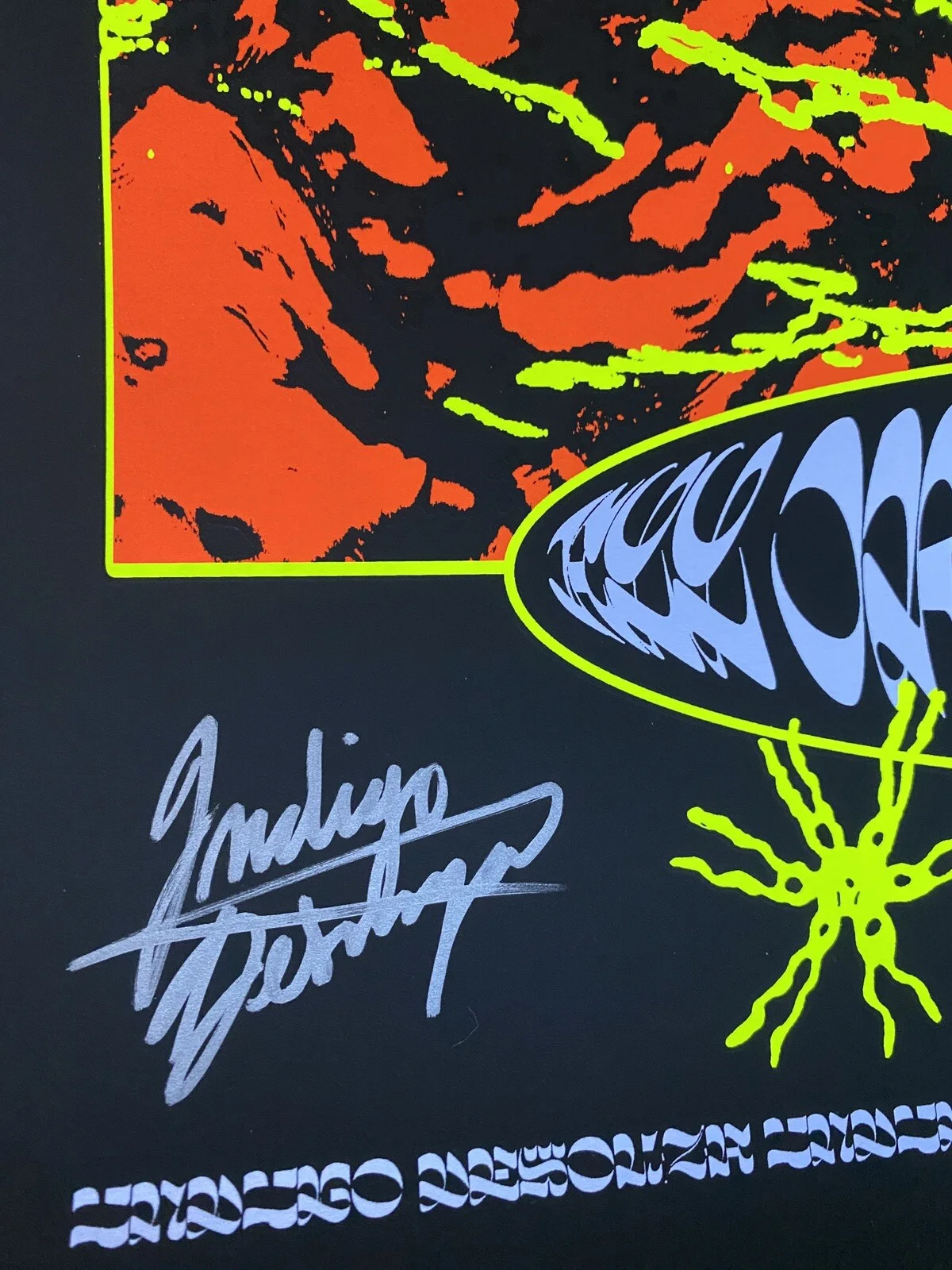 INDIGO DE SOUZA SIGNED 18X24 ALL OF THIS WILL END POSTER AUTOGRAPH BAS COA A, изображение 2