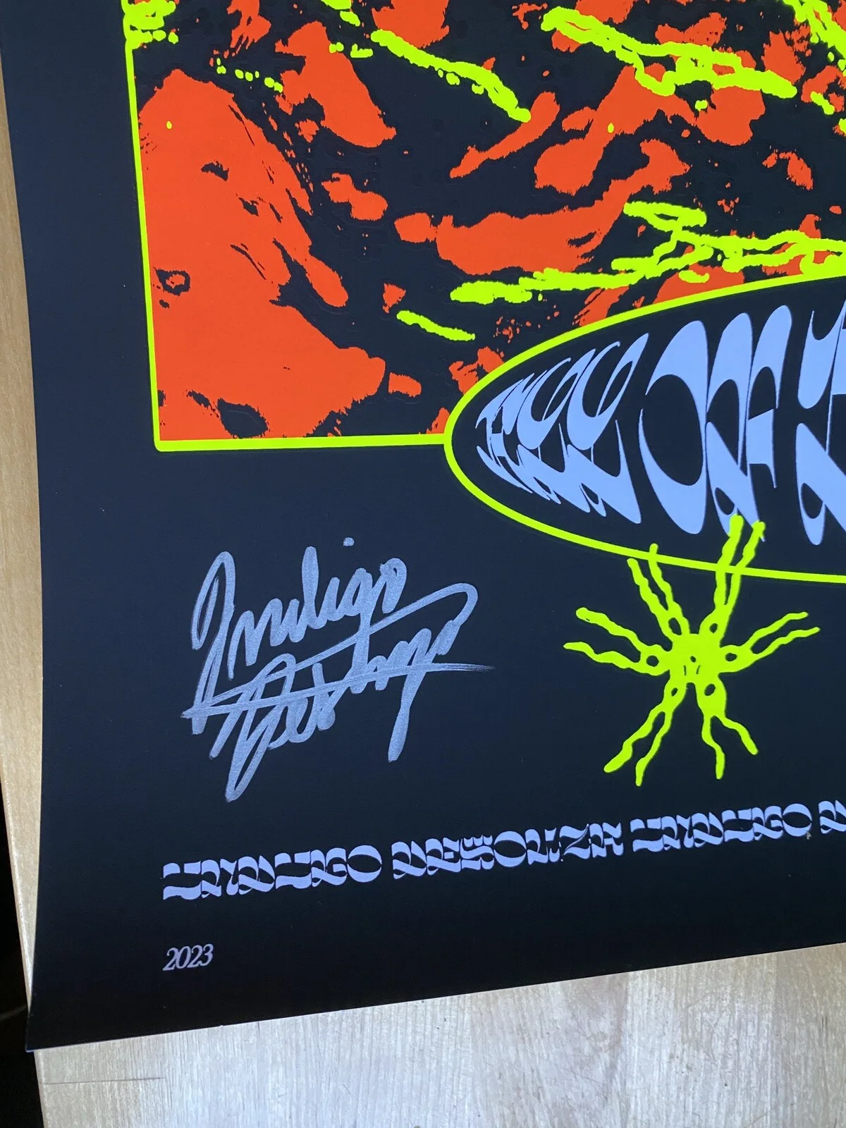 INDIGO DE SOUZA SIGNED 18X24 ALL OF THIS WILL END POSTER AUTOGRAPH BAS COA B, изображение 2