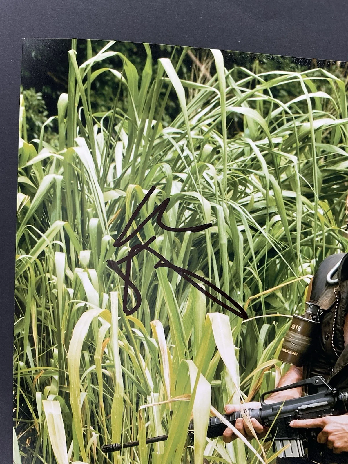 Ben Stiller — Ben Stiller signed photo Tropic Thunder signed photo autographed 8x10 ACOA auto, изображение 2