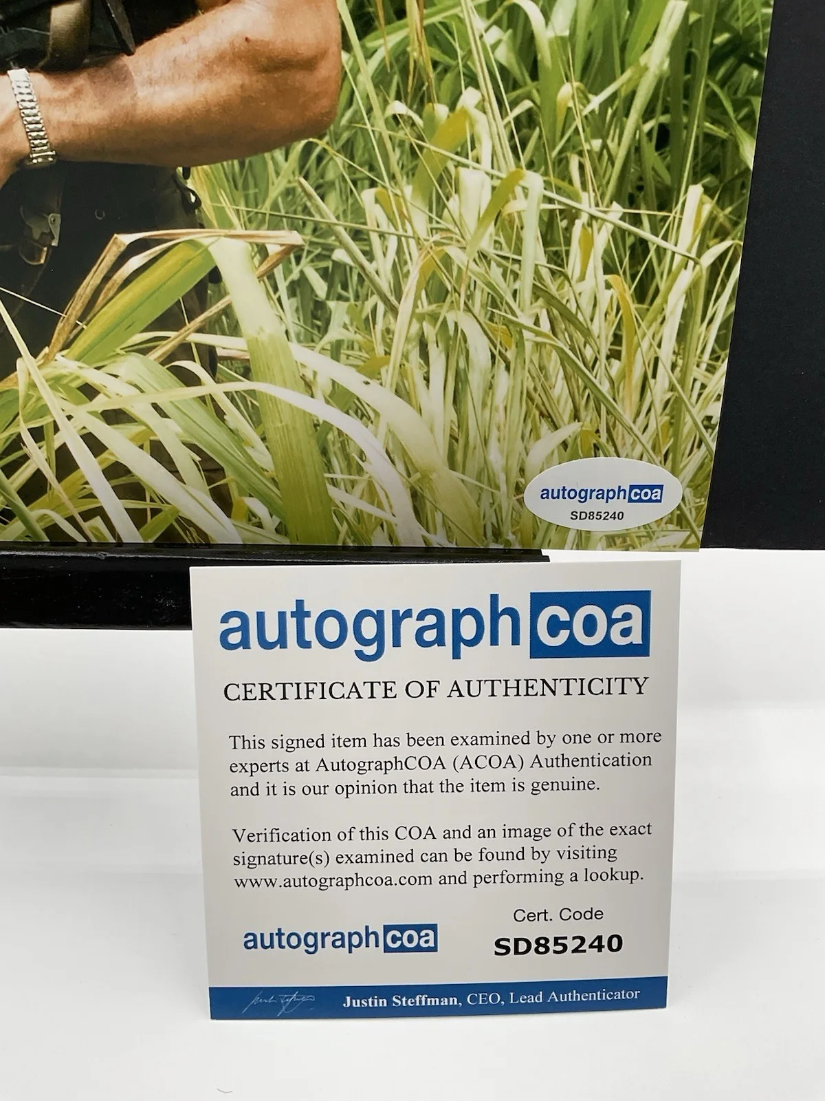 Ben Stiller — Ben Stiller signed photo Tropic Thunder signed photo autographed 8x10 ACOA auto, изображение 3
