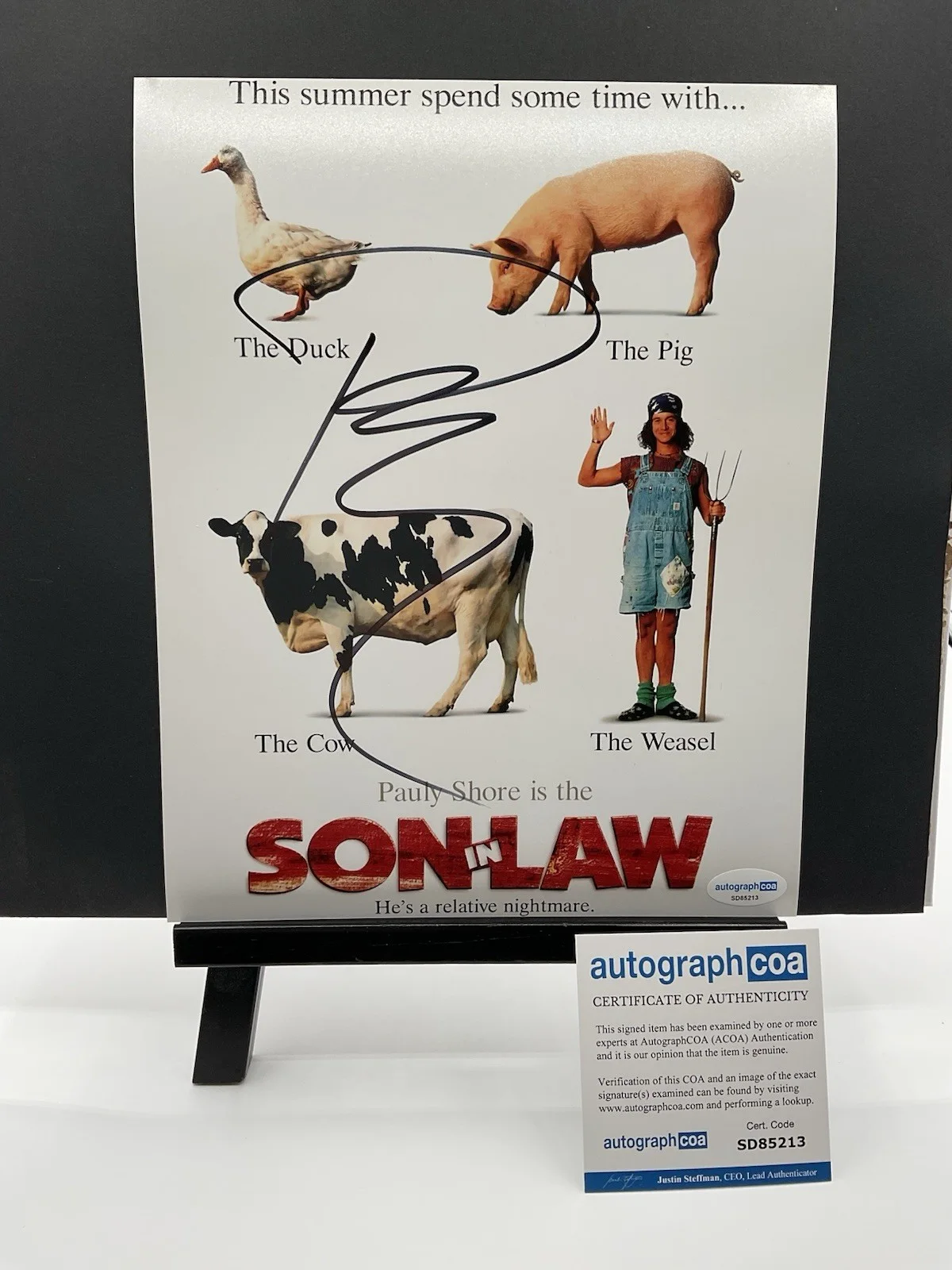 Pauly Shore — Pauly Shore signed photo Son in Law signed 8x10 MTV autographed ACOA Encino Man