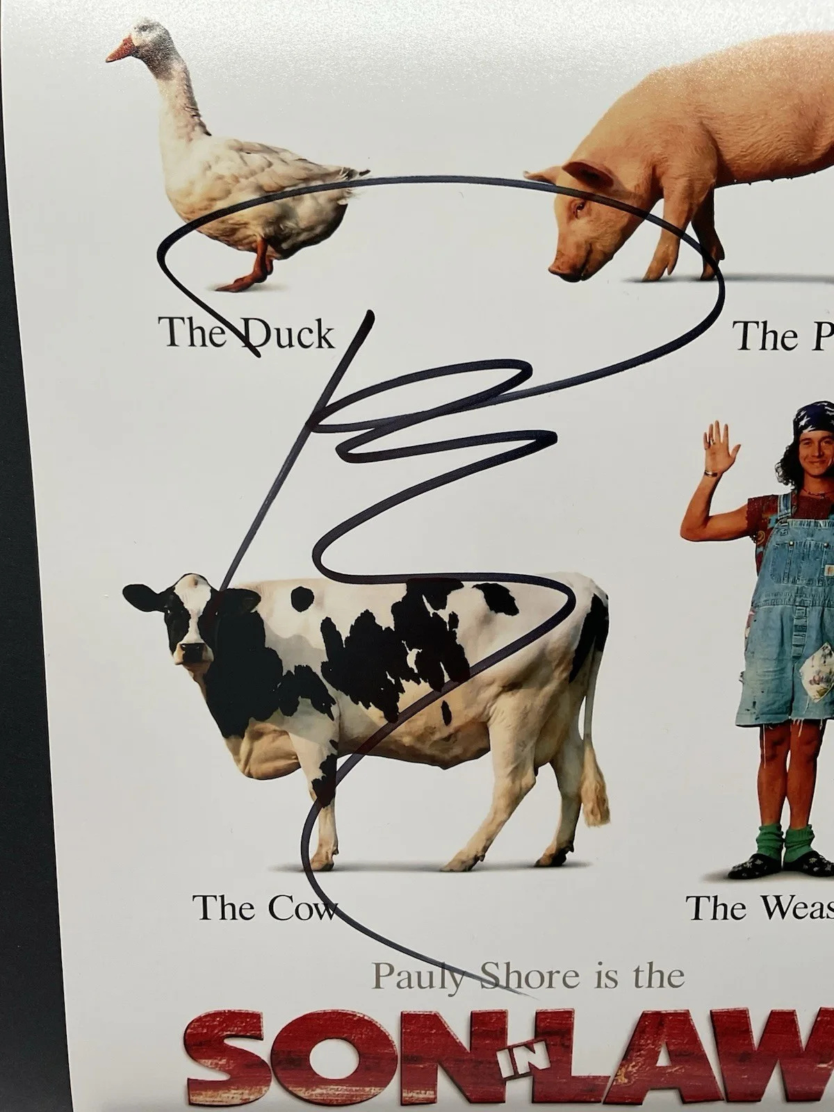 Pauly Shore — Pauly Shore signed photo Son in Law signed 8x10 MTV autographed ACOA Encino Man, изображение 2