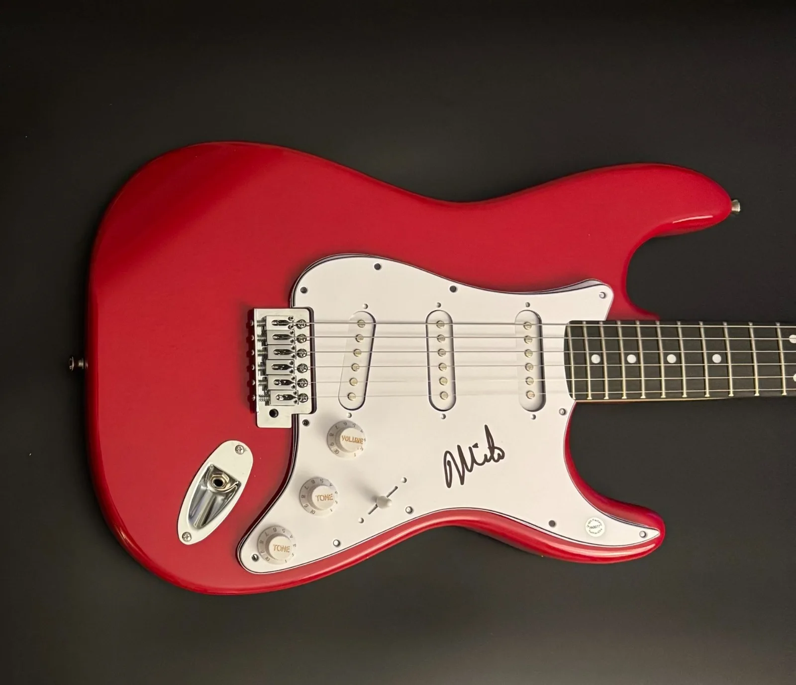 GFA The Descendents Band * MILO AUKERMAN * Signed Electric Guitar PROOF COA, изображение 2