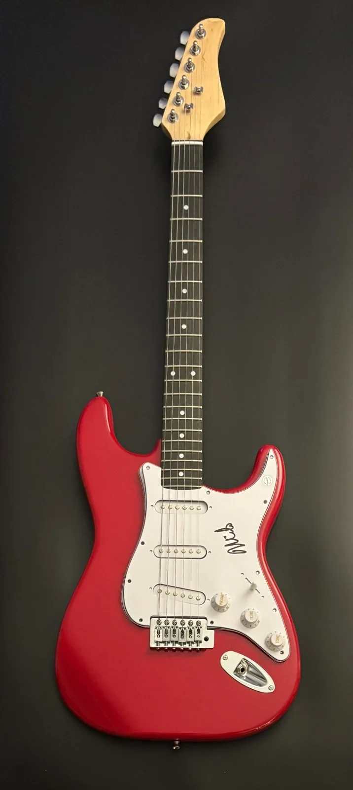 GFA The Descendents Band * MILO AUKERMAN * Signed Electric Guitar PROOF COA, изображение 3