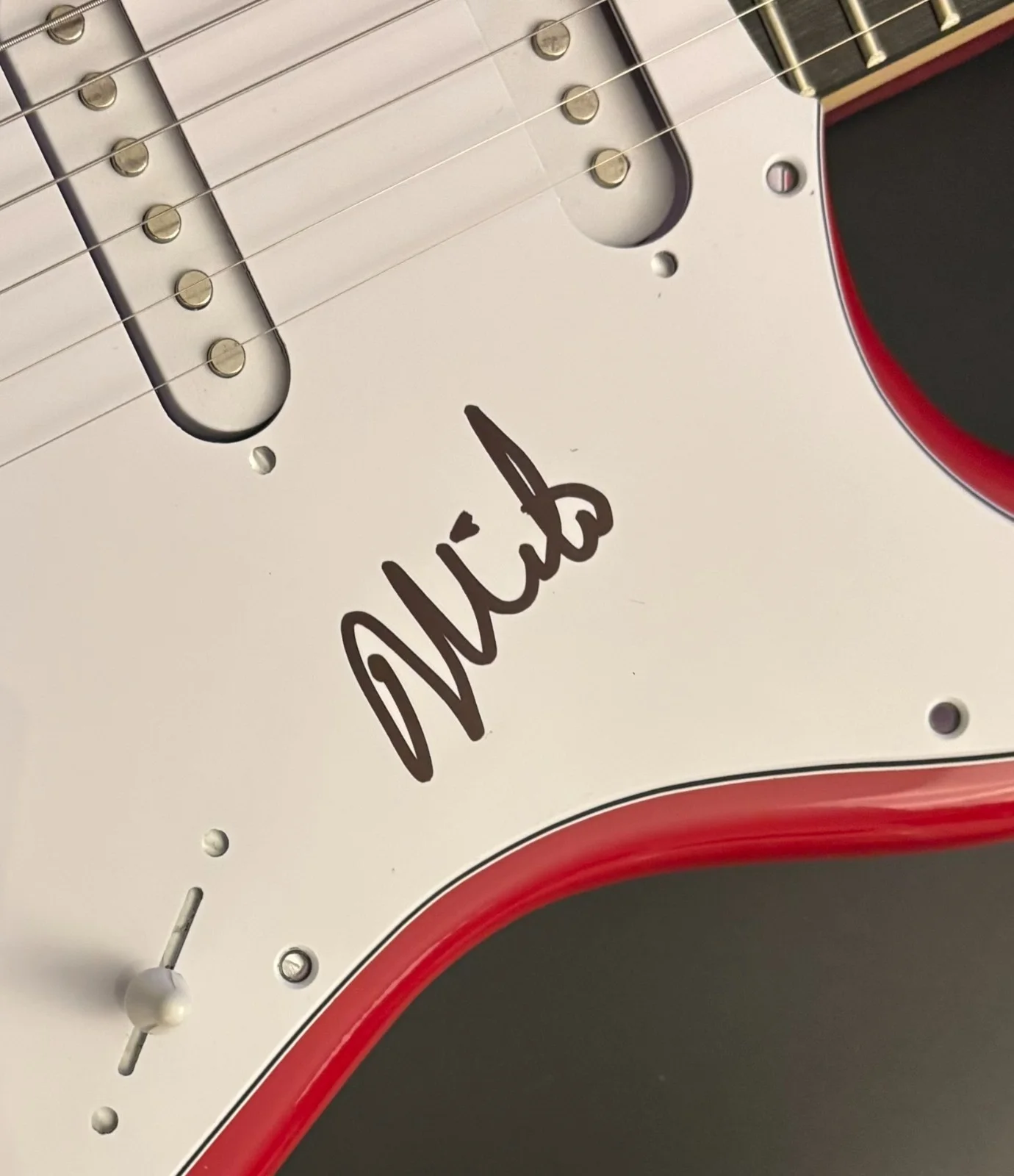 GFA The Descendents Band * MILO AUKERMAN * Signed Electric Guitar PROOF COA, изображение 5