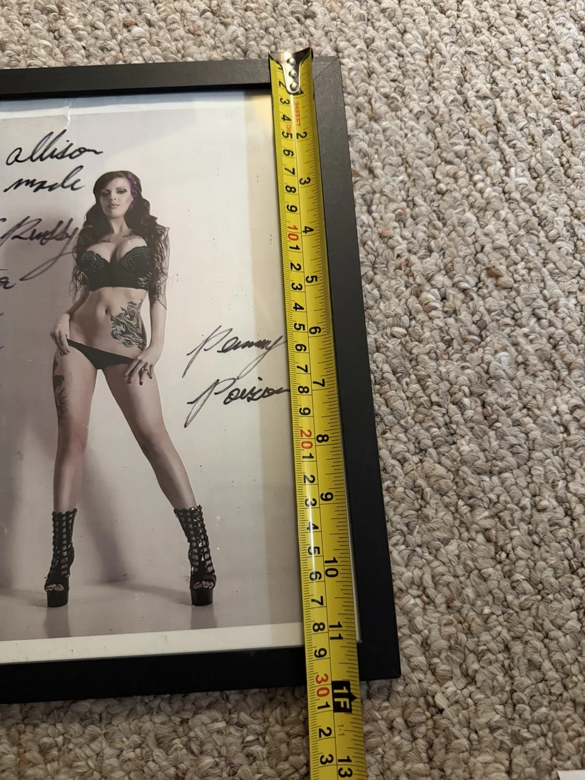Penny Poison Autographed Signed Print From Permanence Kittens In Massachusetts, image 4