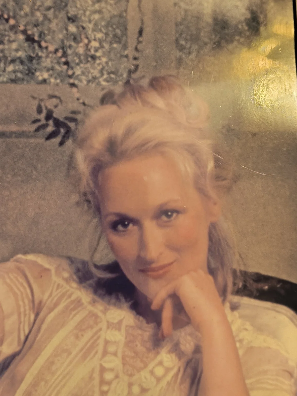 Meryl Streep — Meryl Streep Framed Signed Photo In Large, image 5