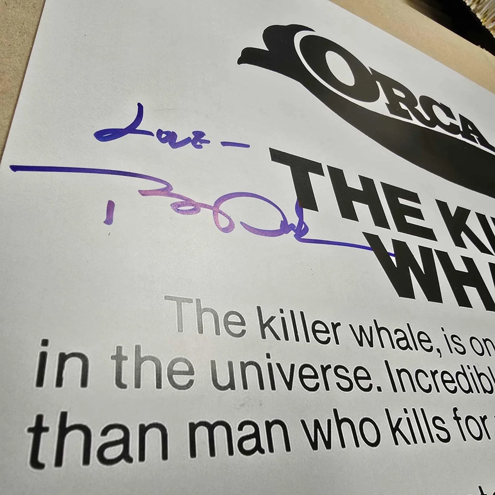 Bo Derek, Richard Harris — ORIGINAL AUTOGRAPHS ON QUALITY POSTER PRINT BY BO DEREK & RICHARD HARRIS-COA ✔️, изображение 5