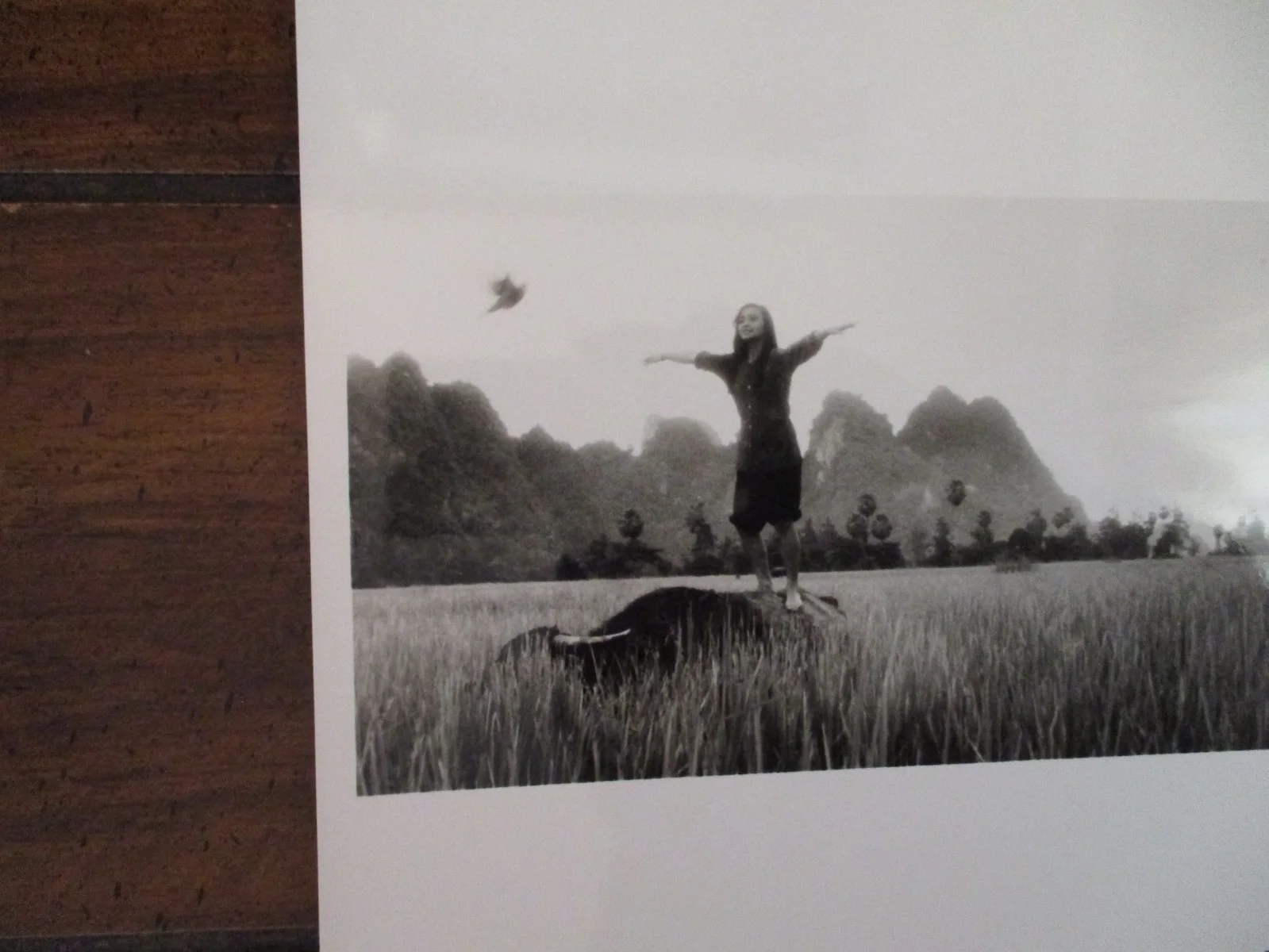 Hiep Thi Le("HEAVEN AND EARTH") 1993 10 x 8 Glossy Black and White Press Photo, изображение 2