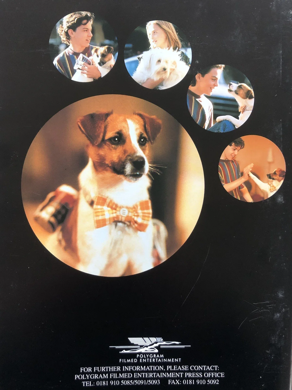 Cinema/Press Pack - Paws- Billy Connolly- Movie Collectable, image 2